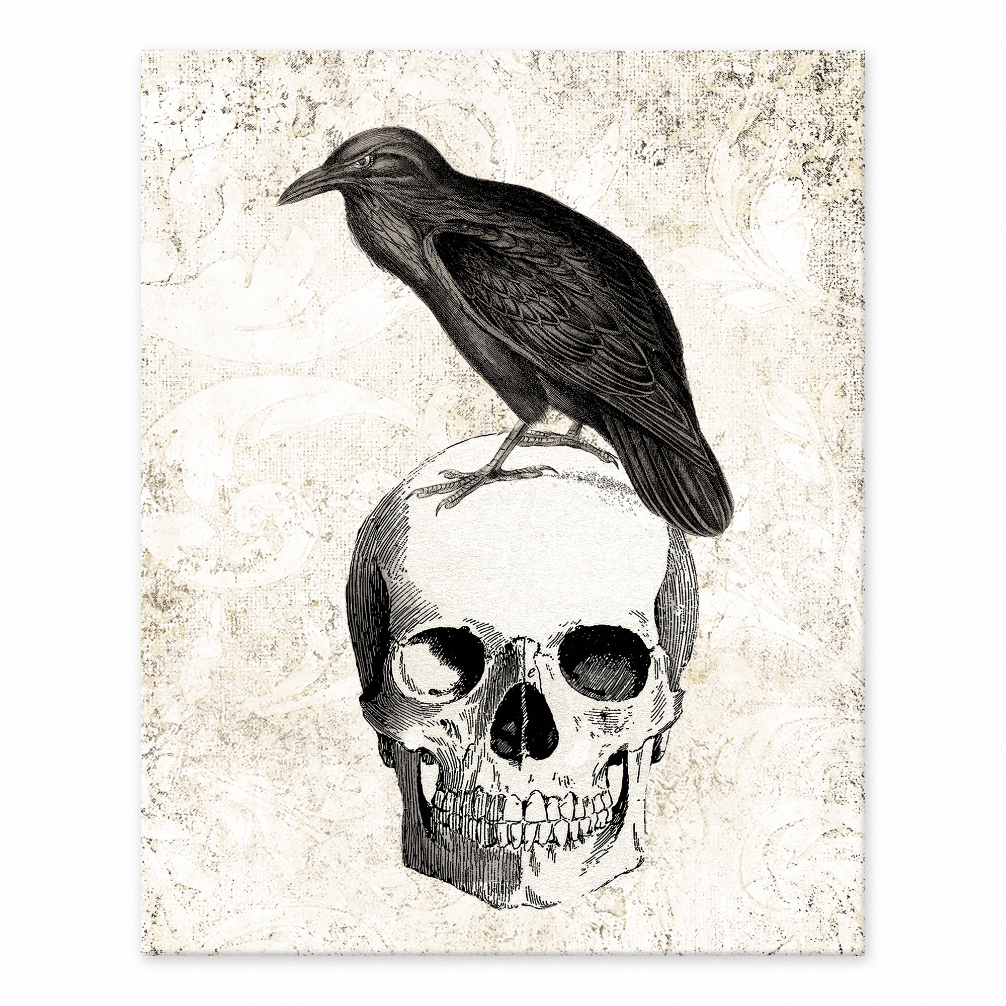 Raven with Skull 8x10 Tabletop Canvas