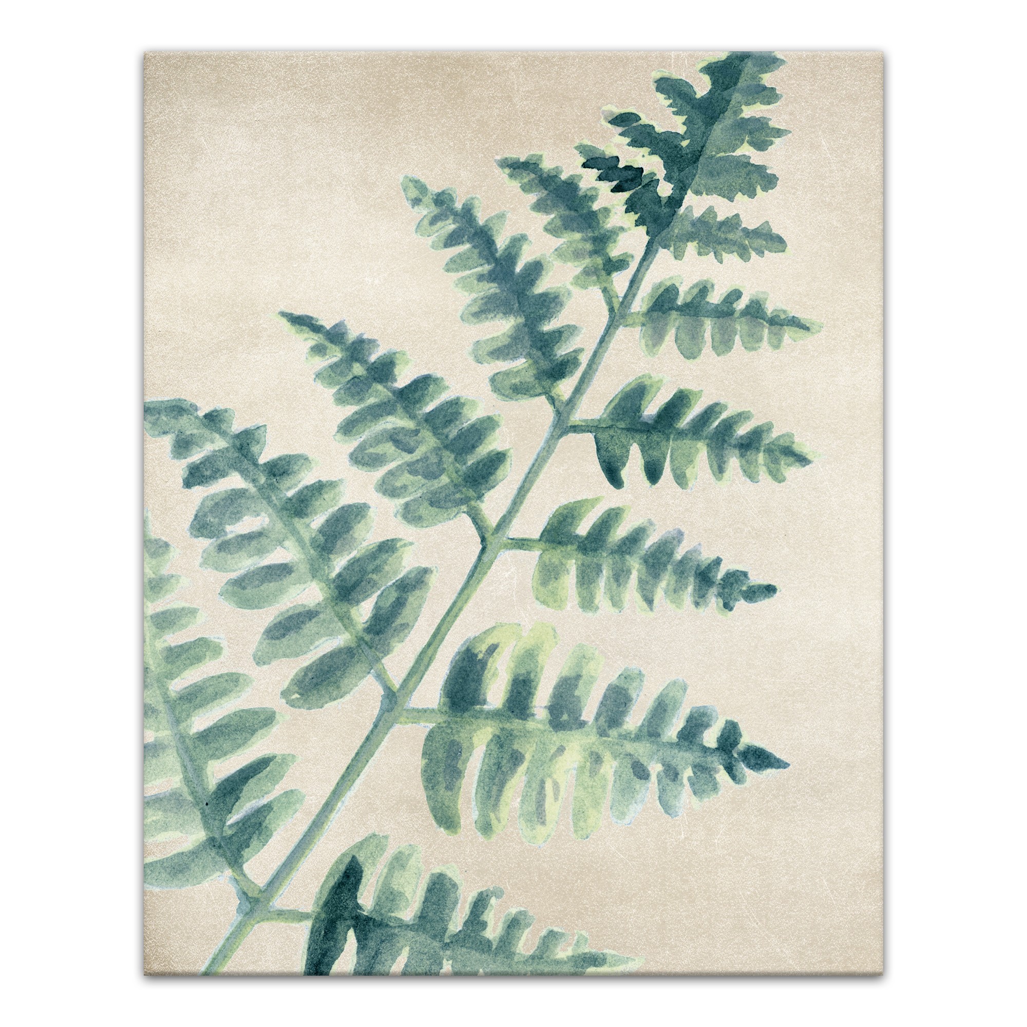 Big Fern Branch 16x20 Canvas Wall Art