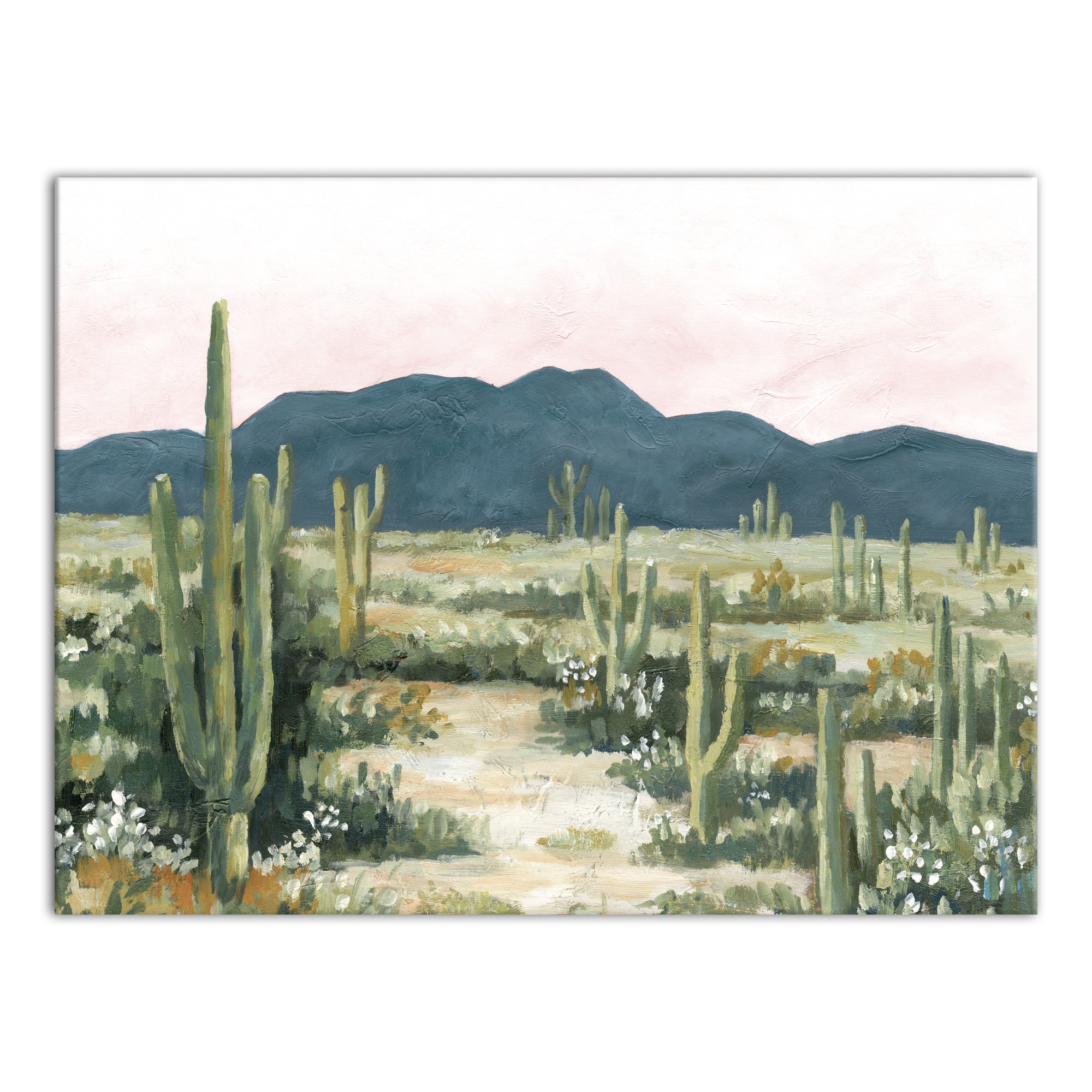 Painted Desert Landscape 30x40 Canvas Wall Art