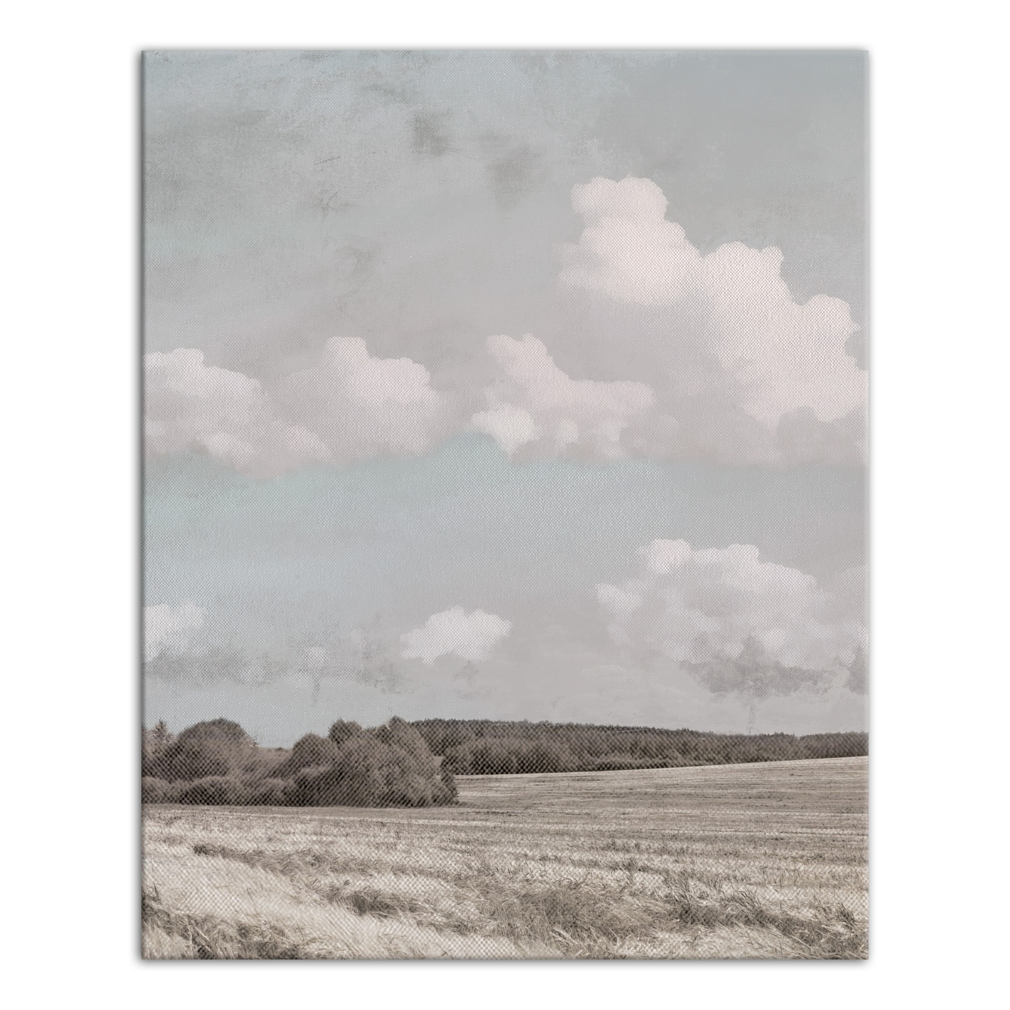 Southwest Landscape 16x20 Canvas Wall Art