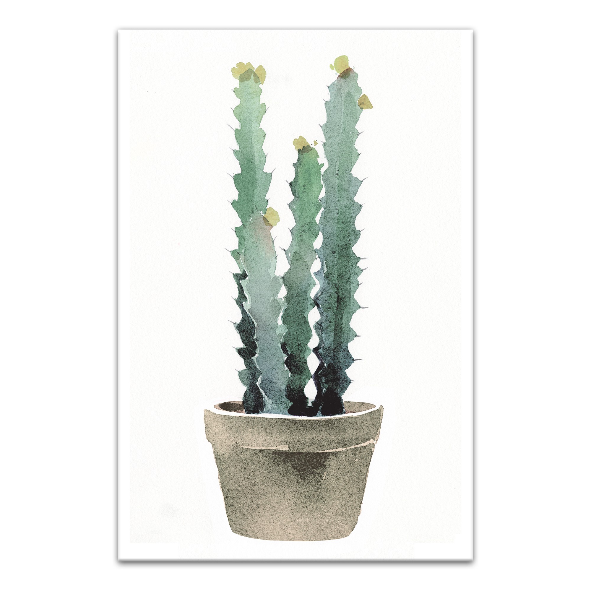 Watercolor Potted Cactus 12x18 Canvas Wall Art