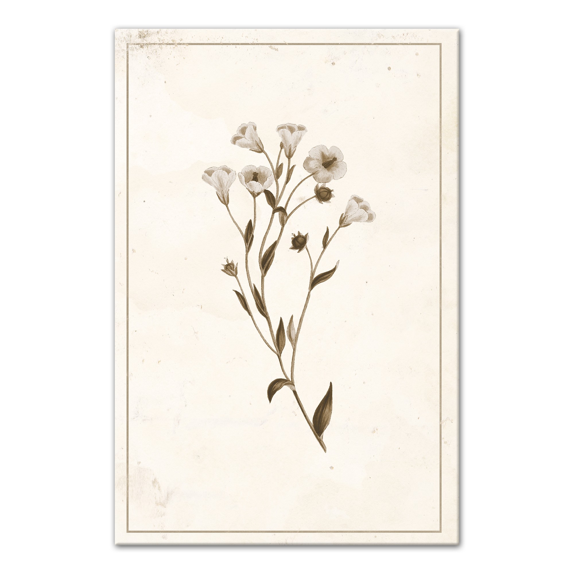 White Florals Stained Paper 12x18 Canvas Wall Art