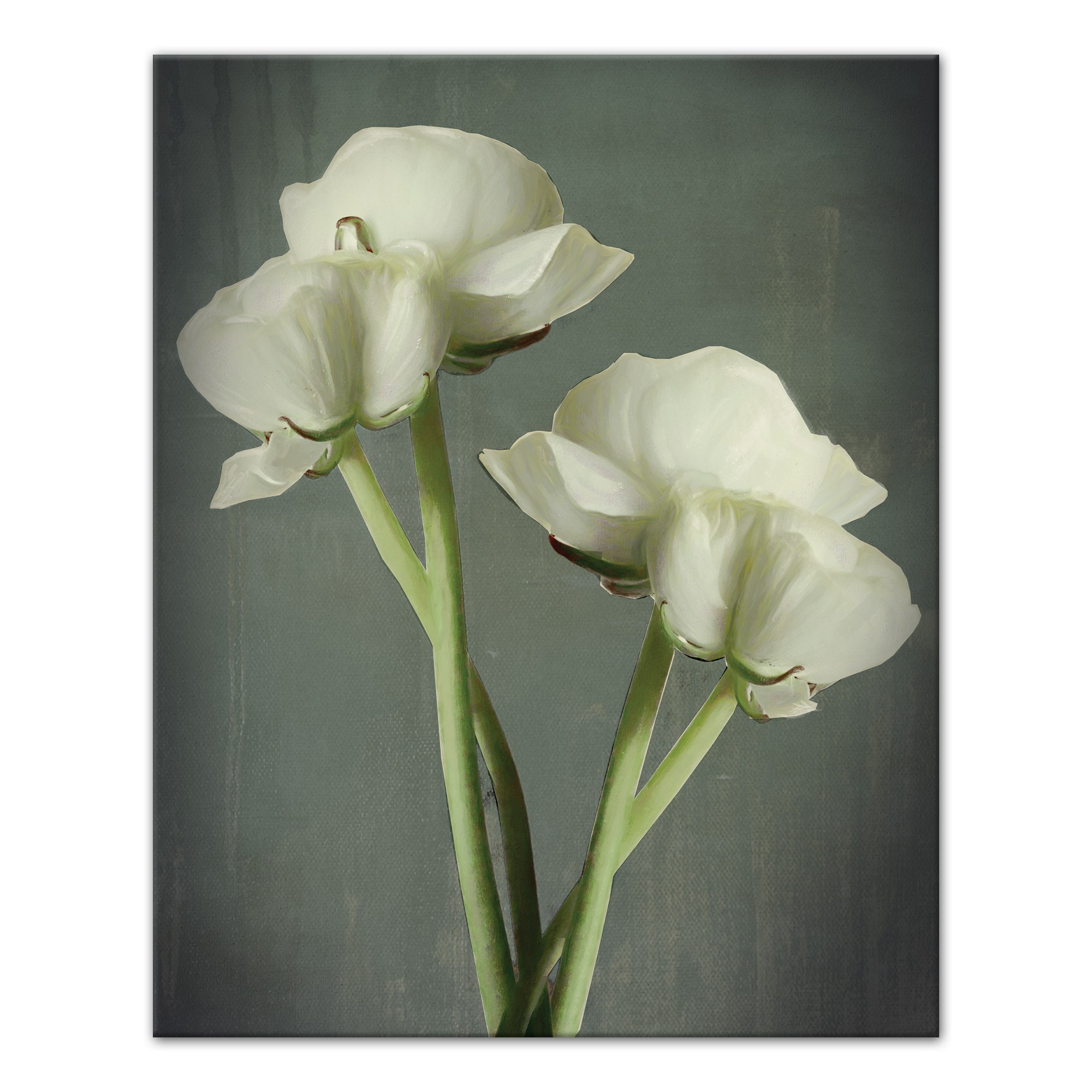Moody White Florals 16x20 Canvas Wall Art
