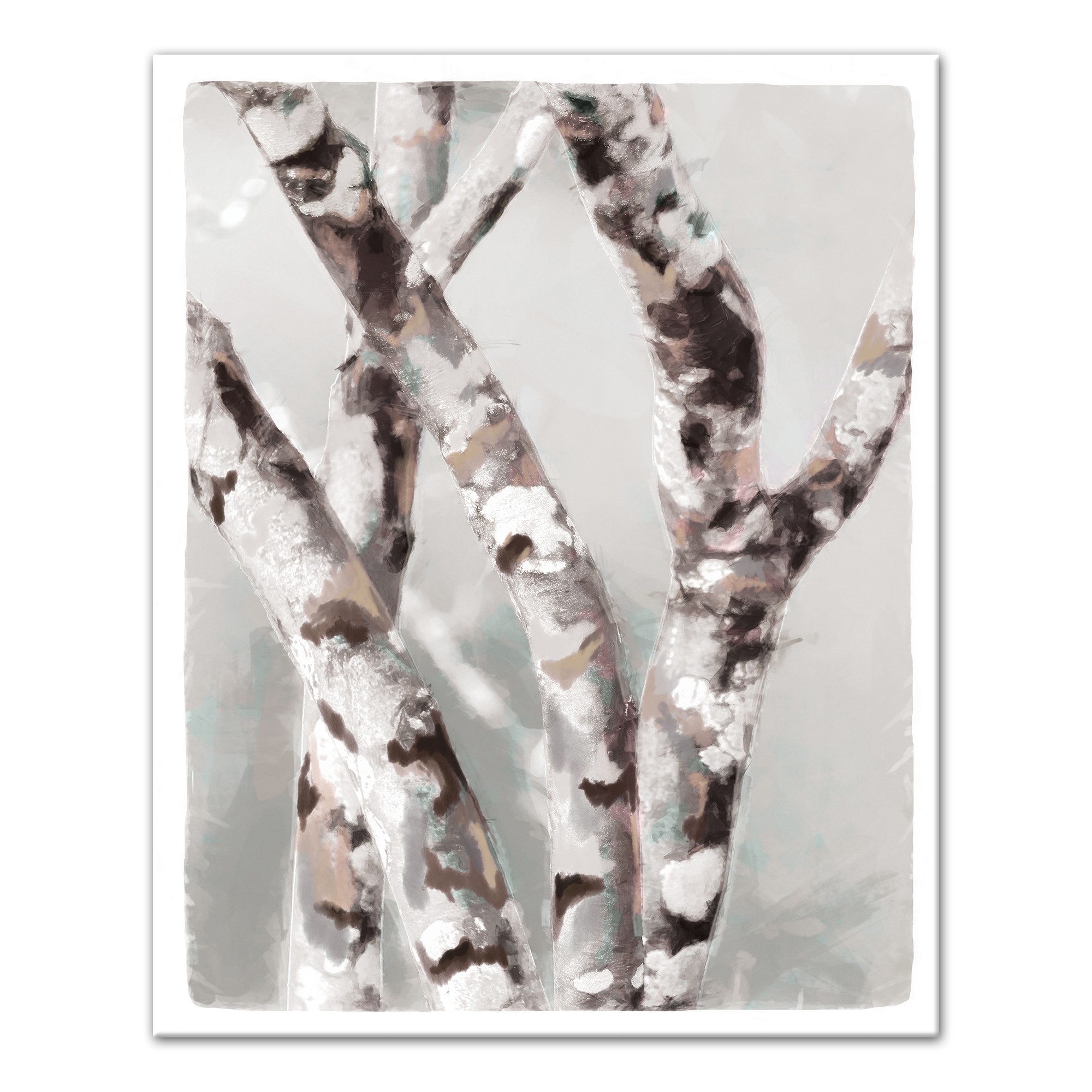 Birch Trees 16x20 Canvas Wall Art