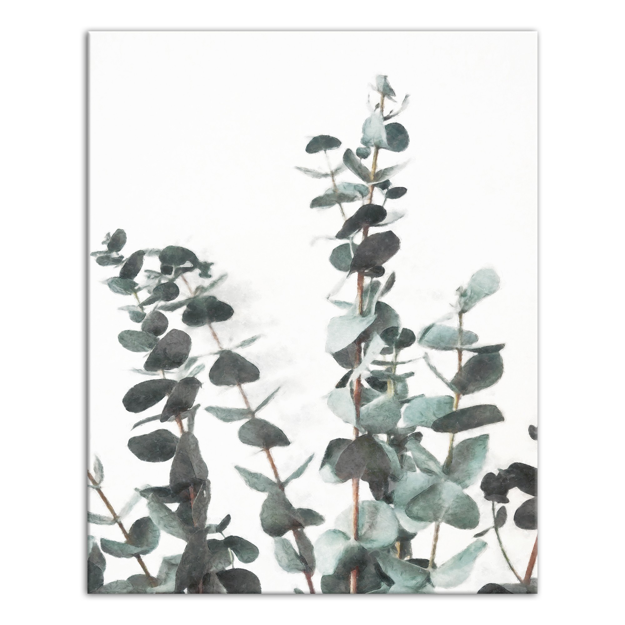 Watercolor Eucalyptus 16x20 Canvas Wall Art