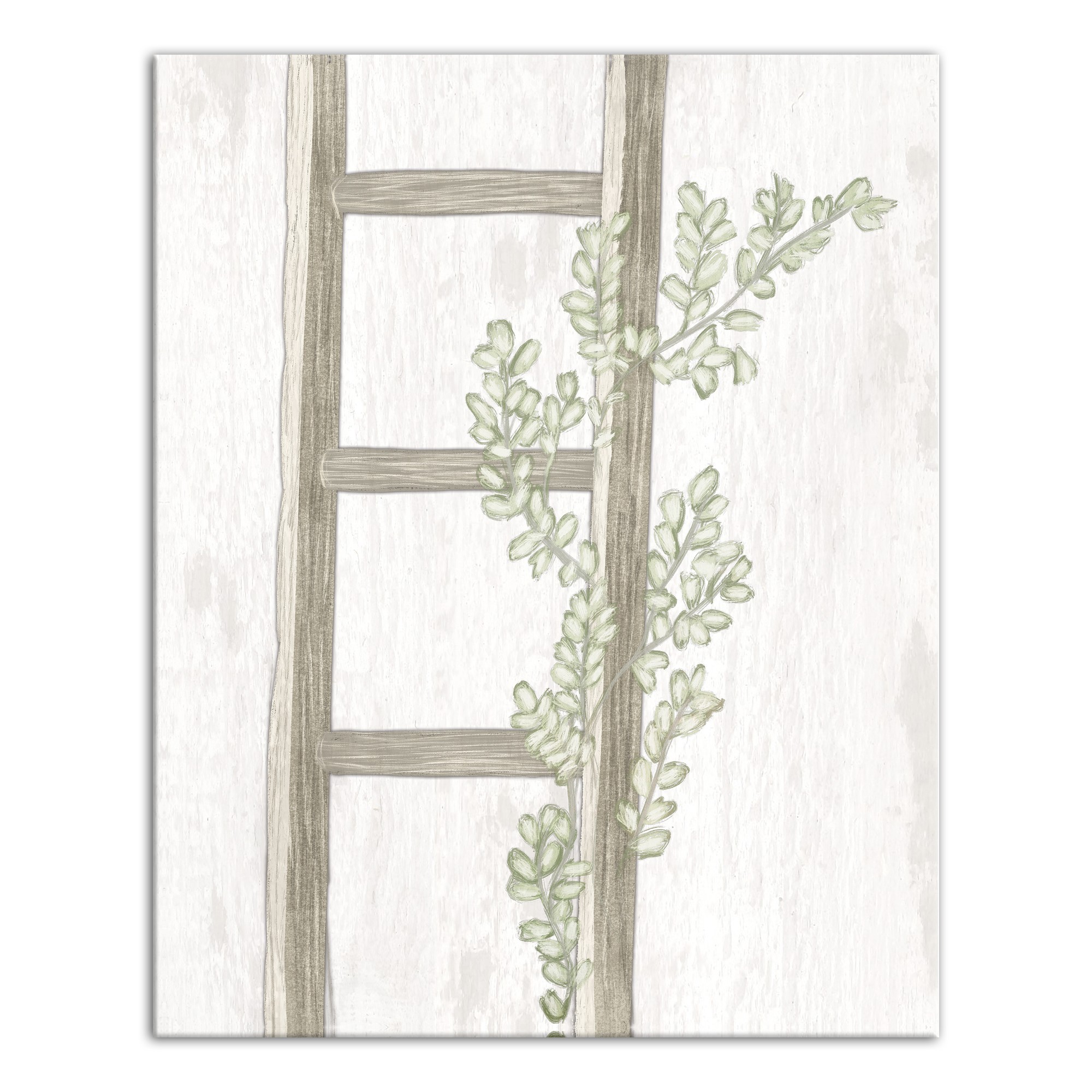 Ladder with Greenery 16x20 Canvas Wall Art
