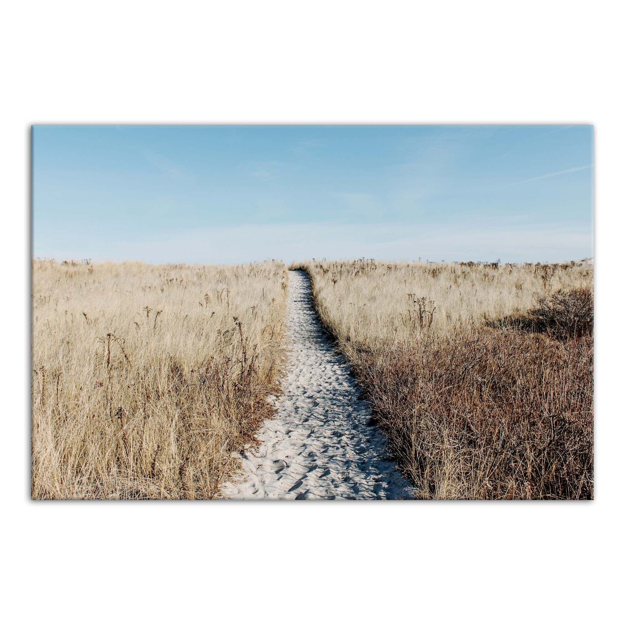 Beach Path with Dunes 30x20 Canvas Wall Art