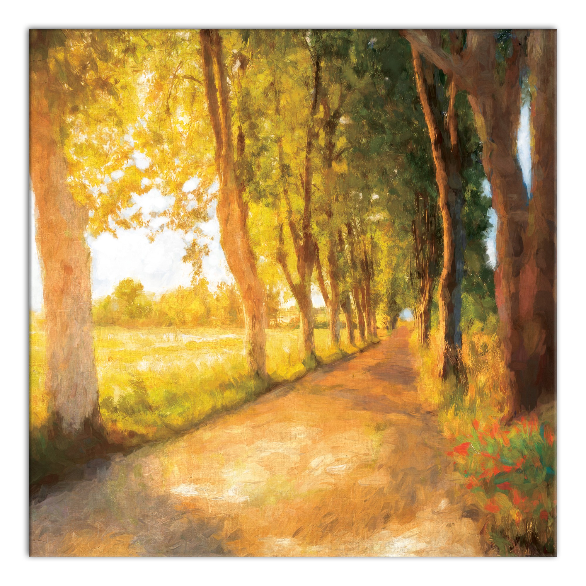 Sunset Trees 30x30 Canvas Wall Art