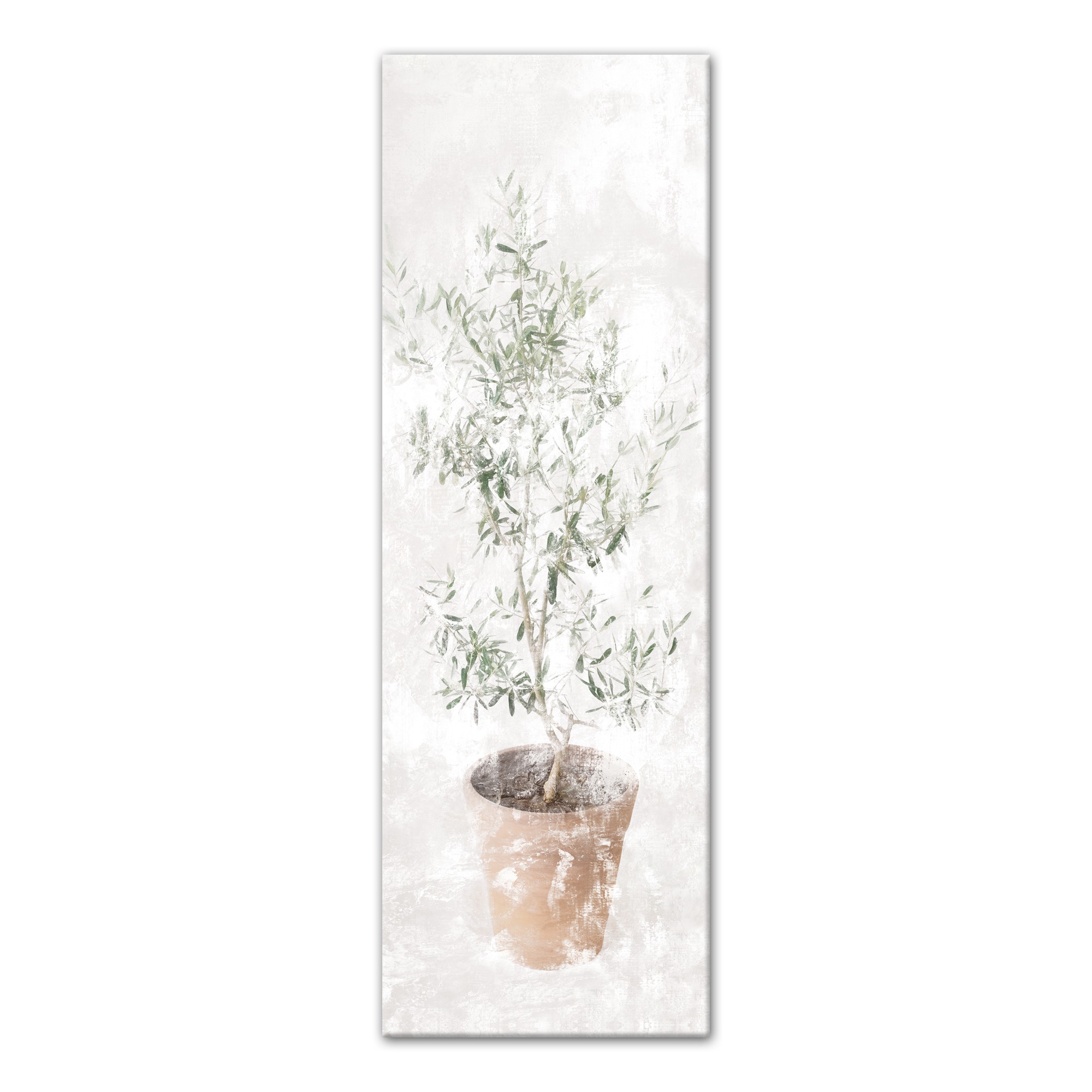 Distressed Olive Tree 12x36 Canvas Wall Art
