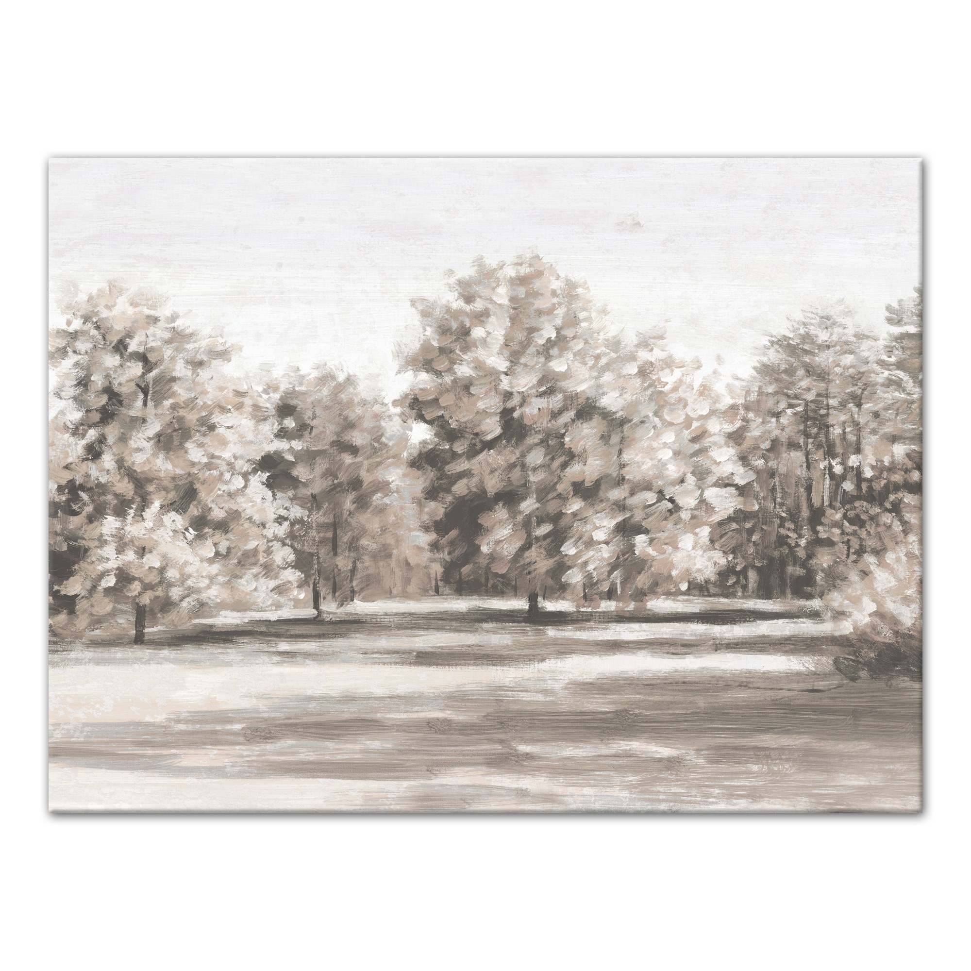 Painted Gray Tree Field 40x30 Canvas Wall Art