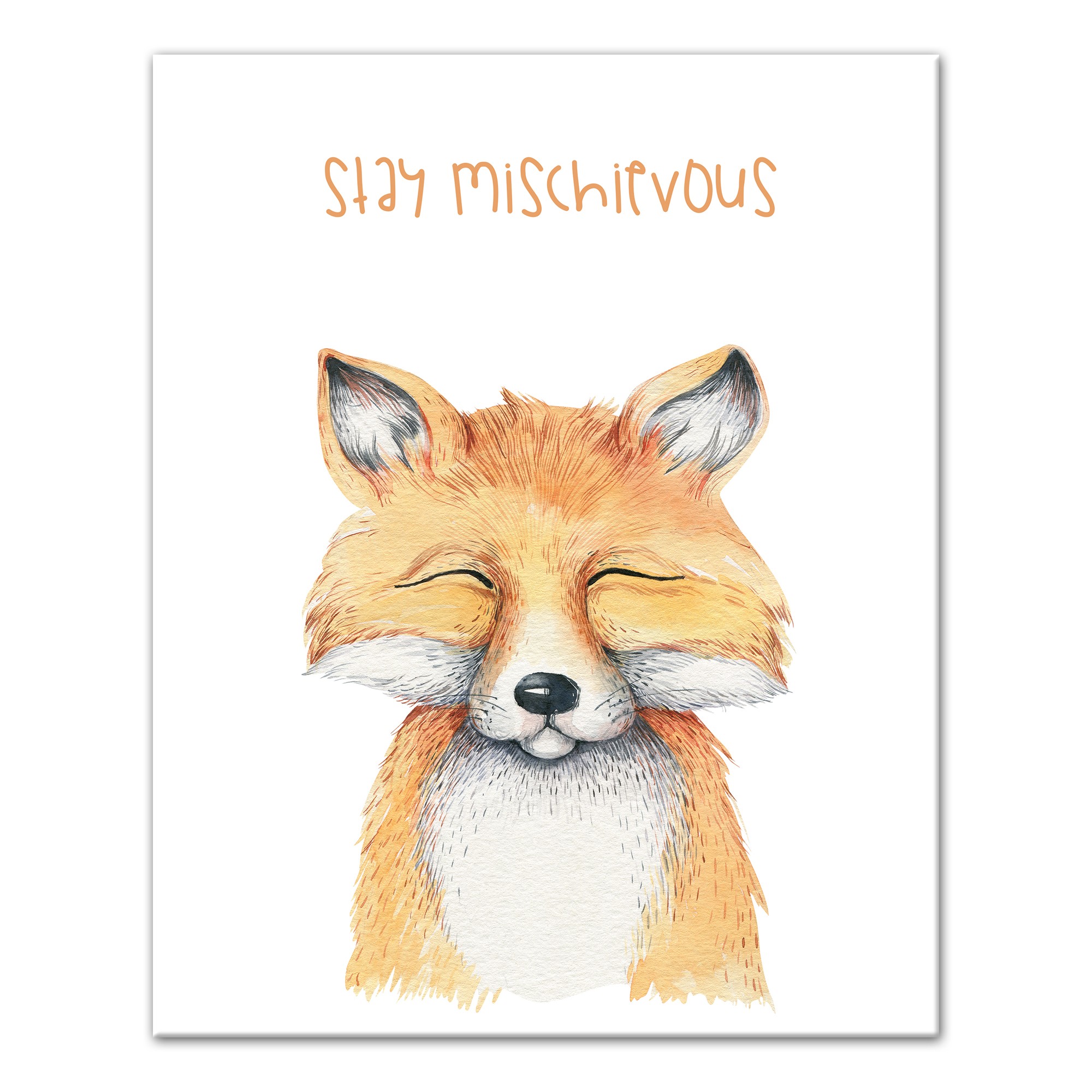 Mischievous Fox 16x20 Canvas Wall Art