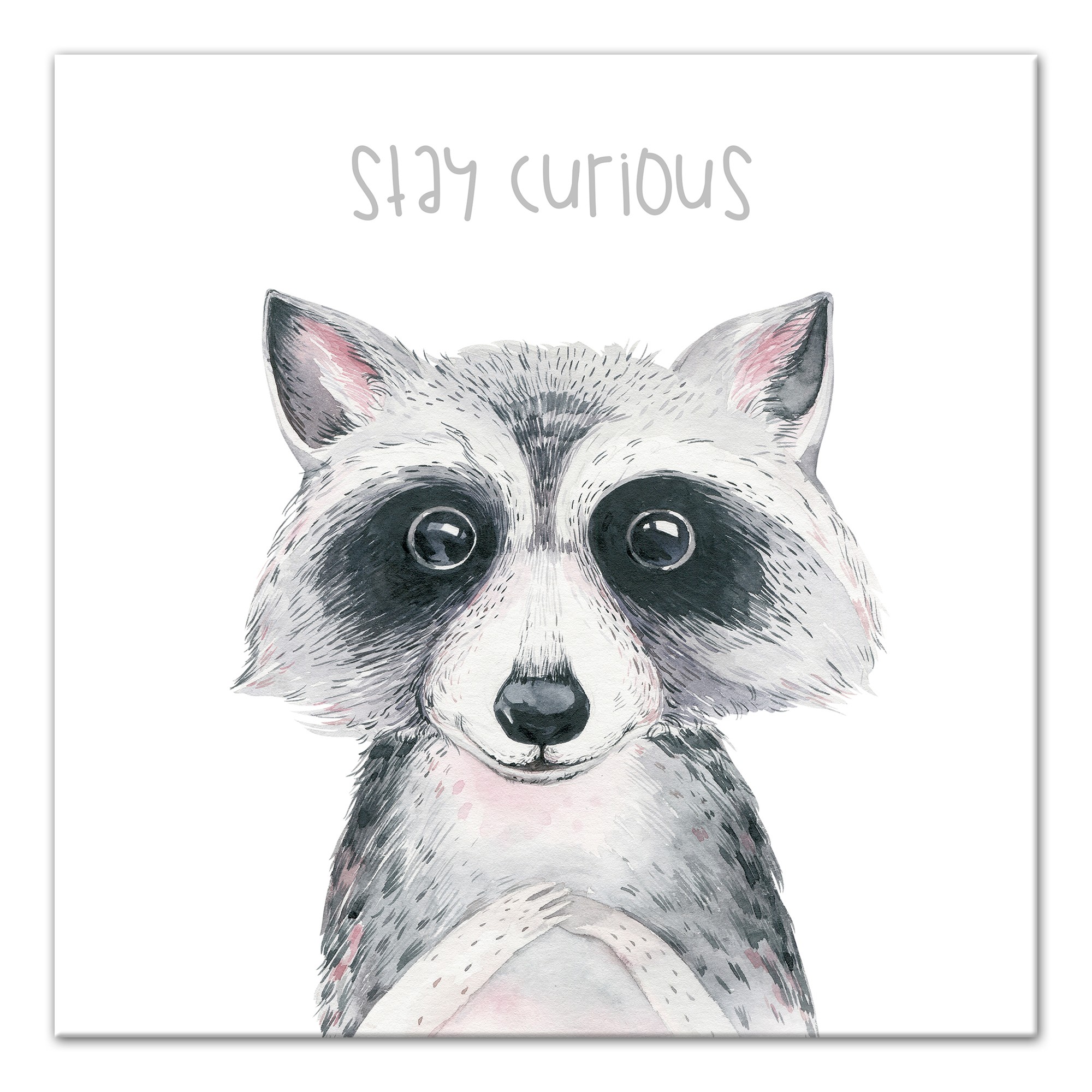 Stay Curious Raccoon 16x16 Canvas Wall Art