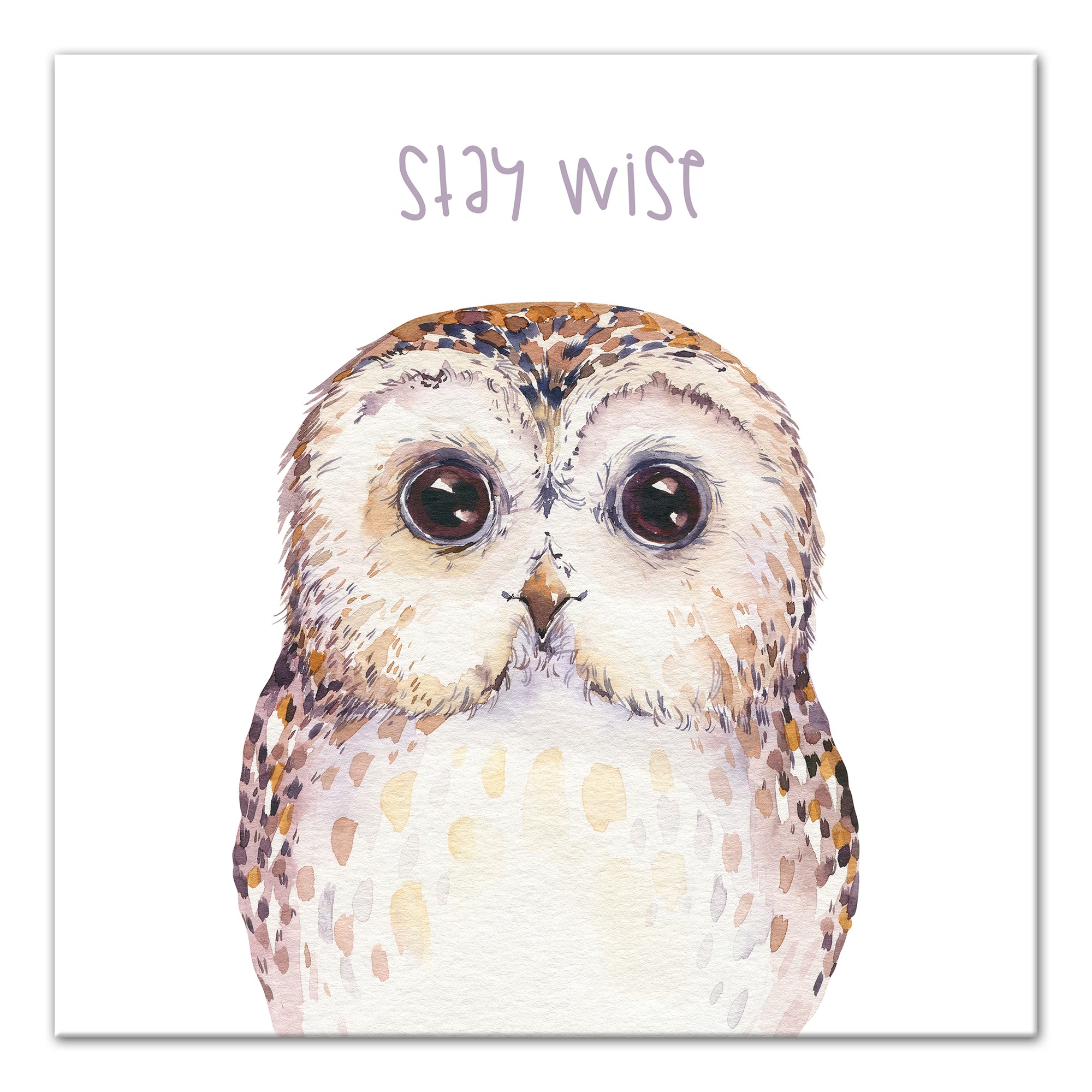 Stay Wise Owl 16x16 Canvas Wall Art