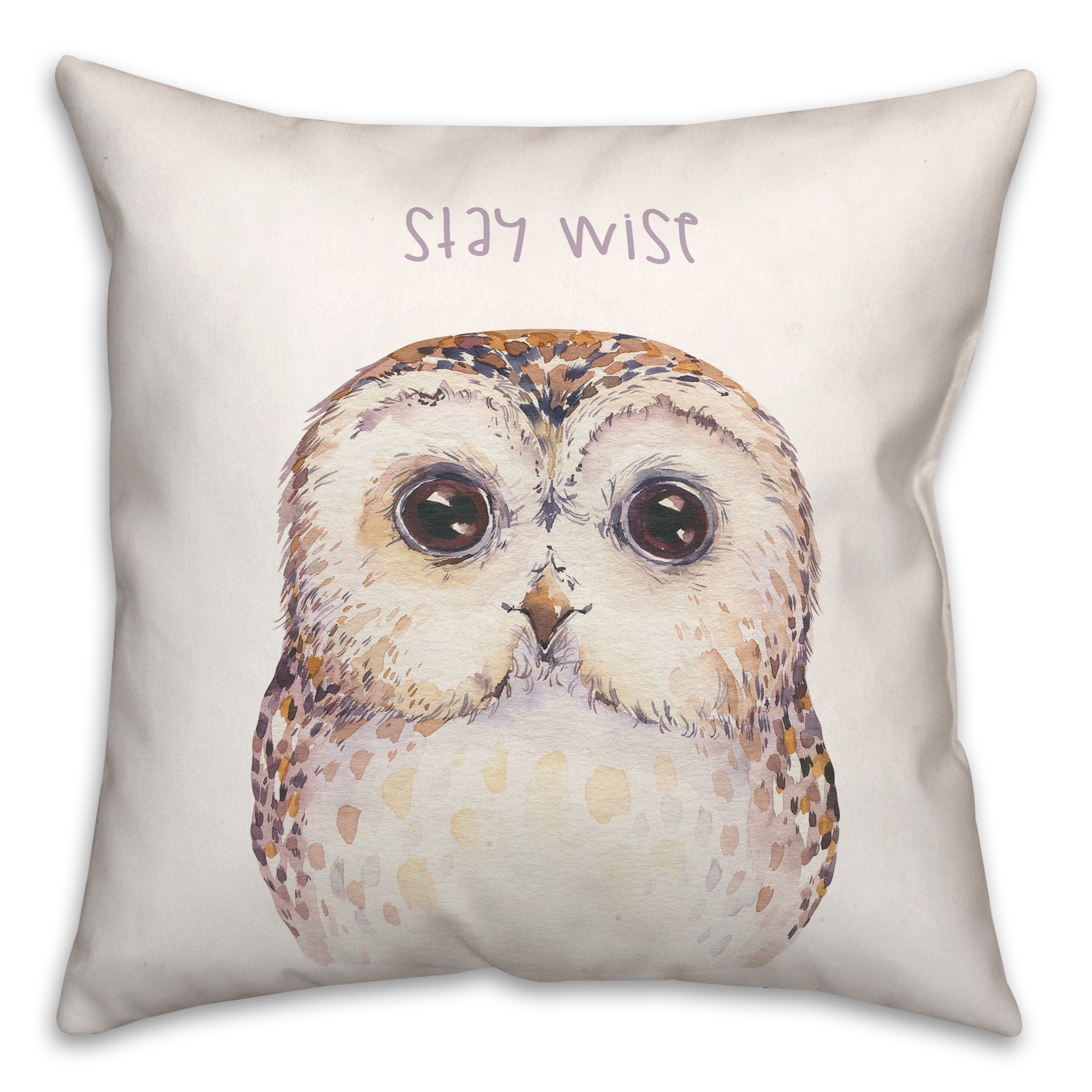 Stay Wise Owl 18x18 Spun Poly Pillow