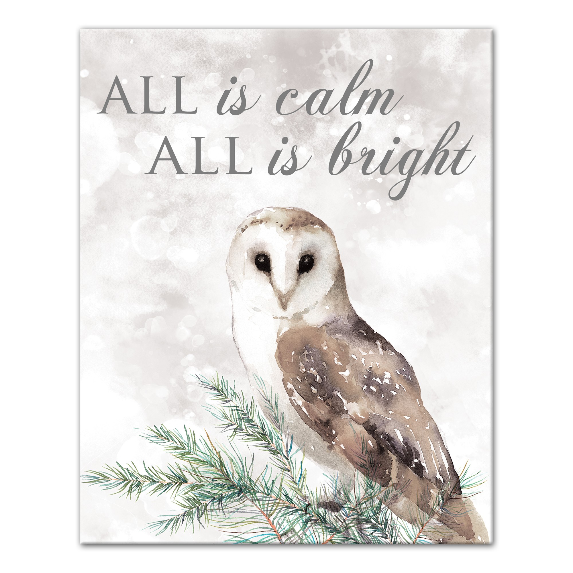 All is Calm and Bright Owl 16x20 Canvas Wall Art