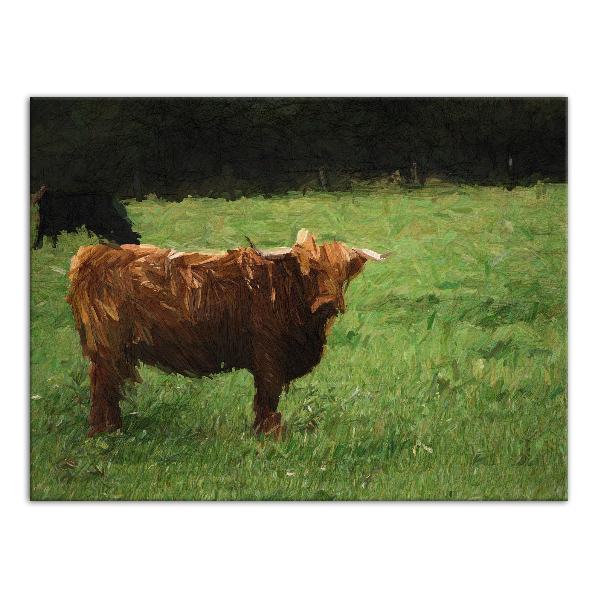 Hairy Brown Cow 24x18 Canvas Wall Art