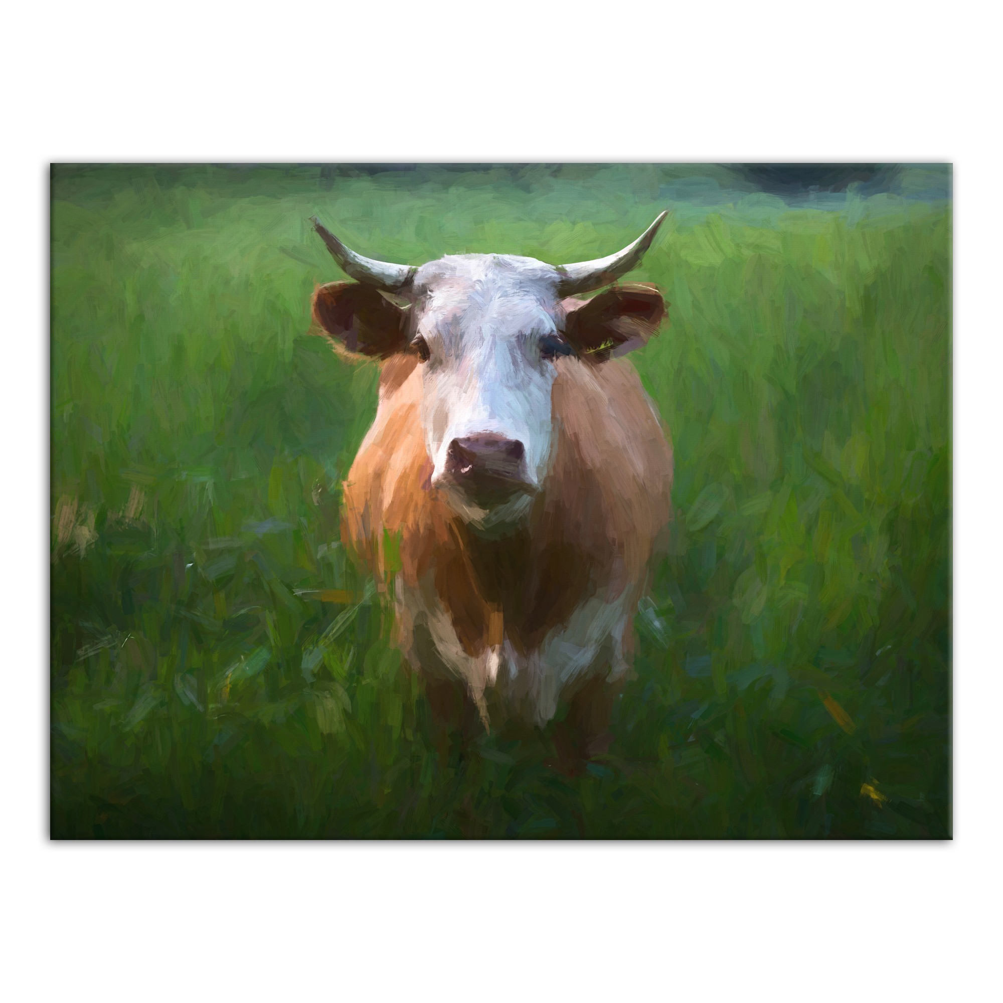 Painted Cow 40x30 Canvas Wall Art