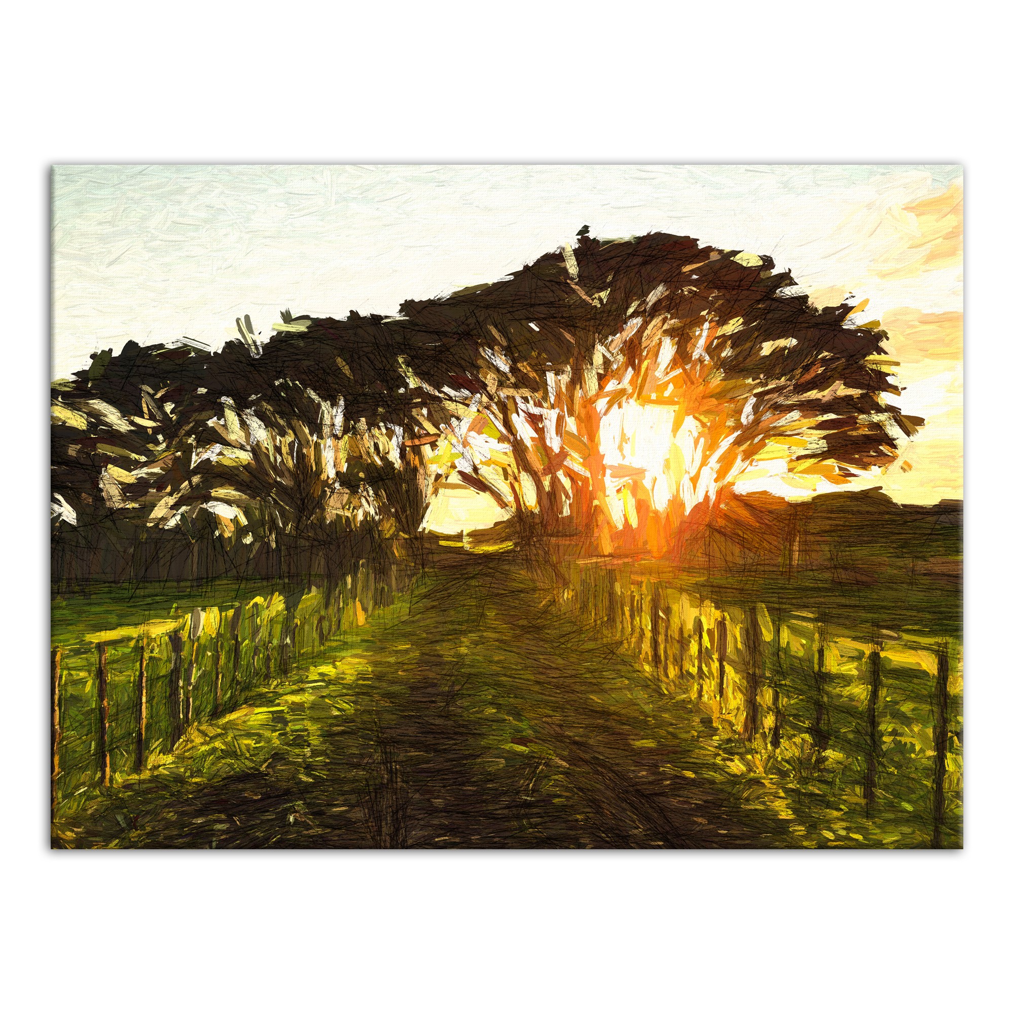 Sunlight Through Trees 30x40 Canvas Wall Art