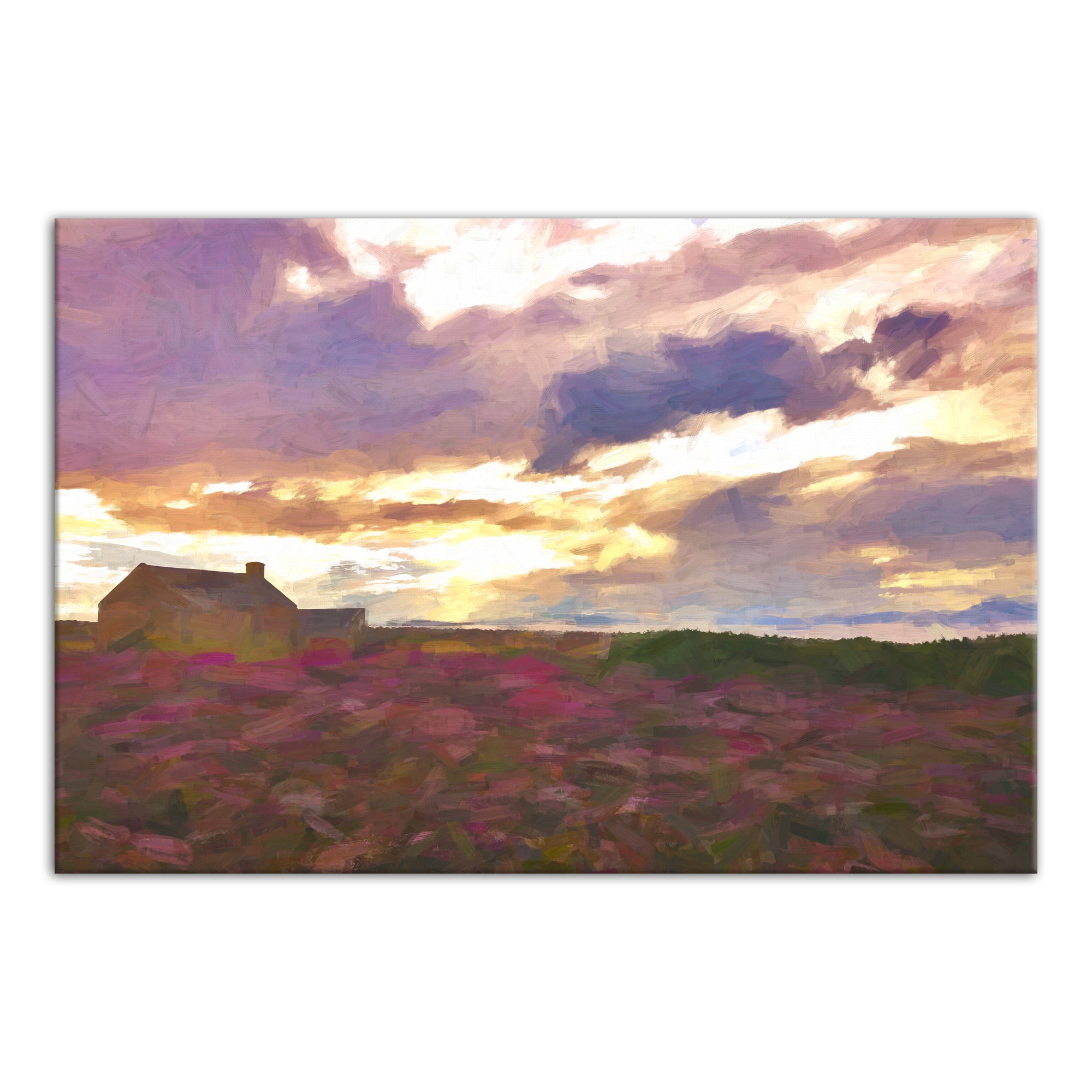 Wildflower Sunset 48x32 Canvas Wall Art