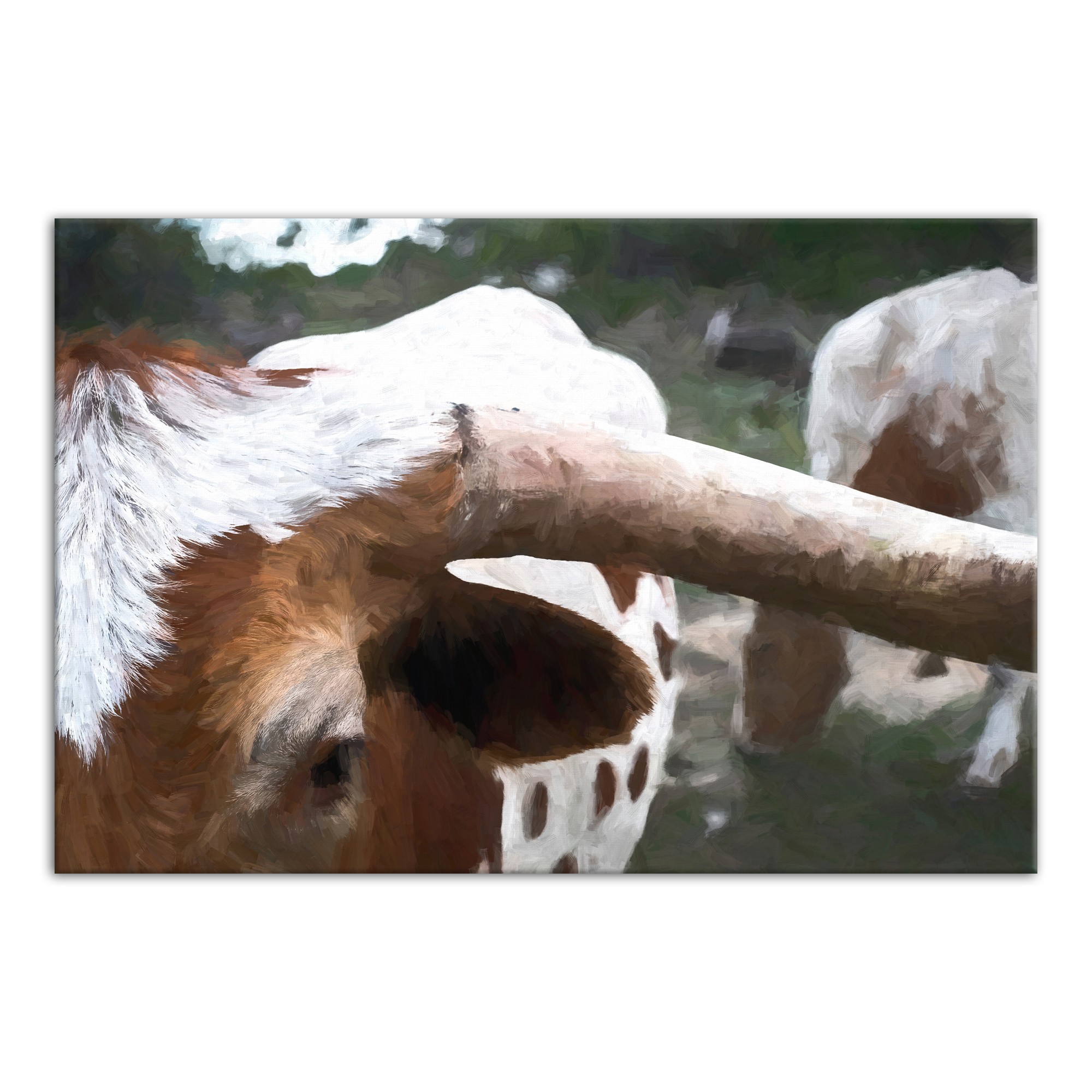 Painted Steer 30x20 Canvas Wall Art