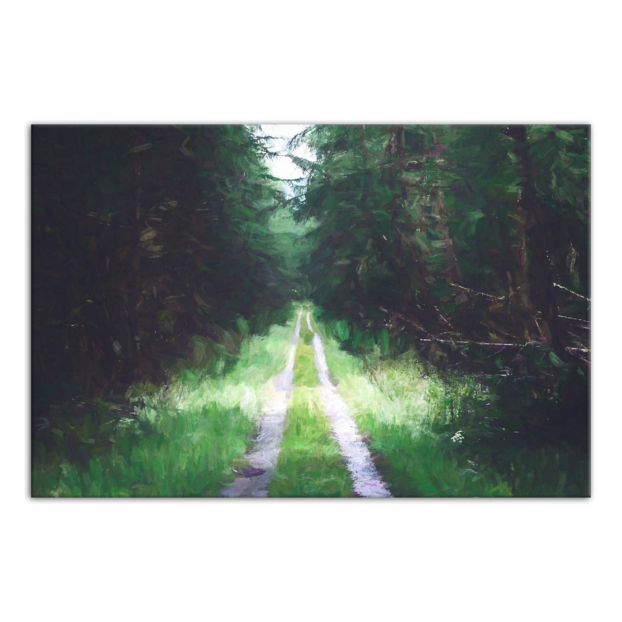 Dark Forest Path 30x20 Canvas Wall Art