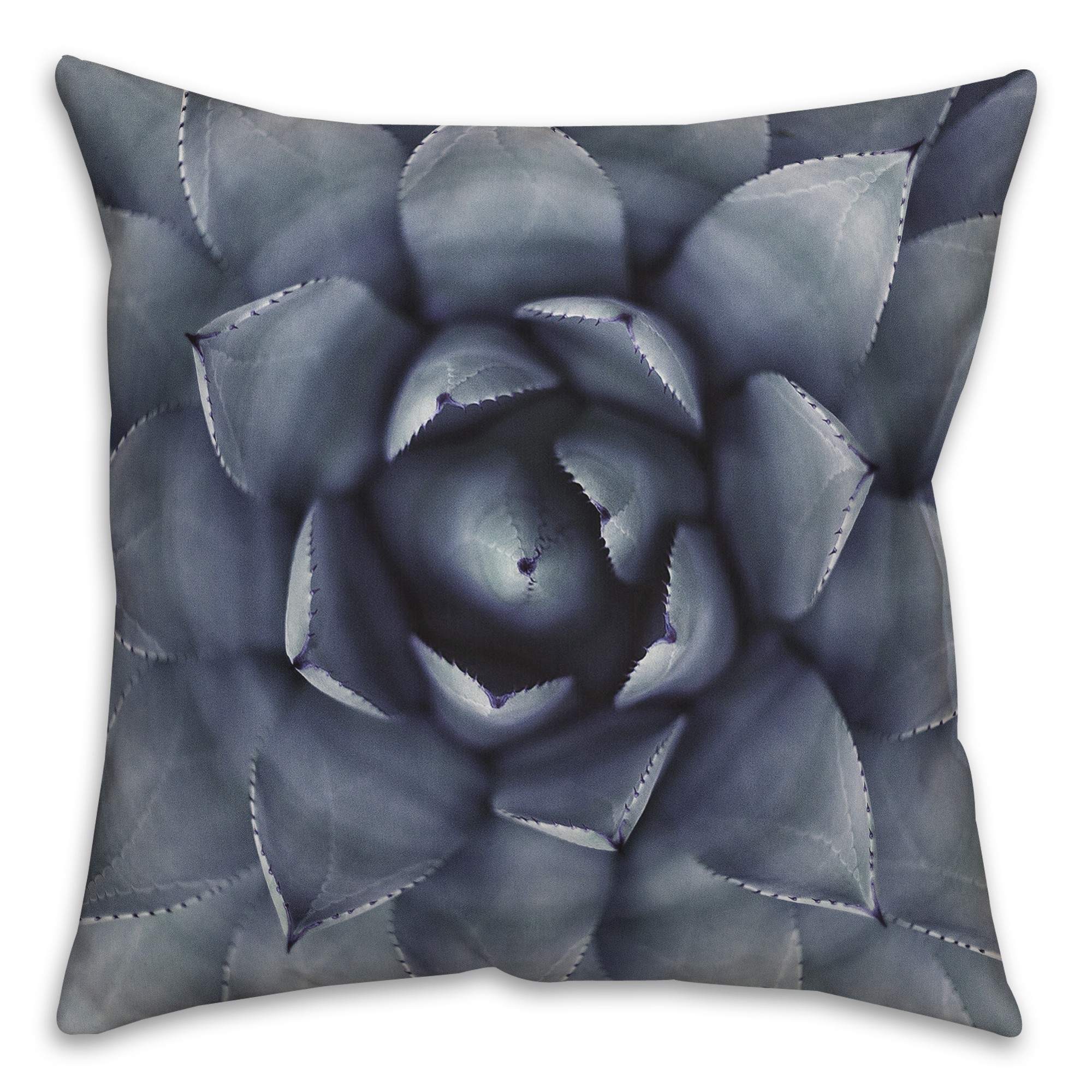 Blue Succulent 18x18 Indoor / Outdoor Pillow