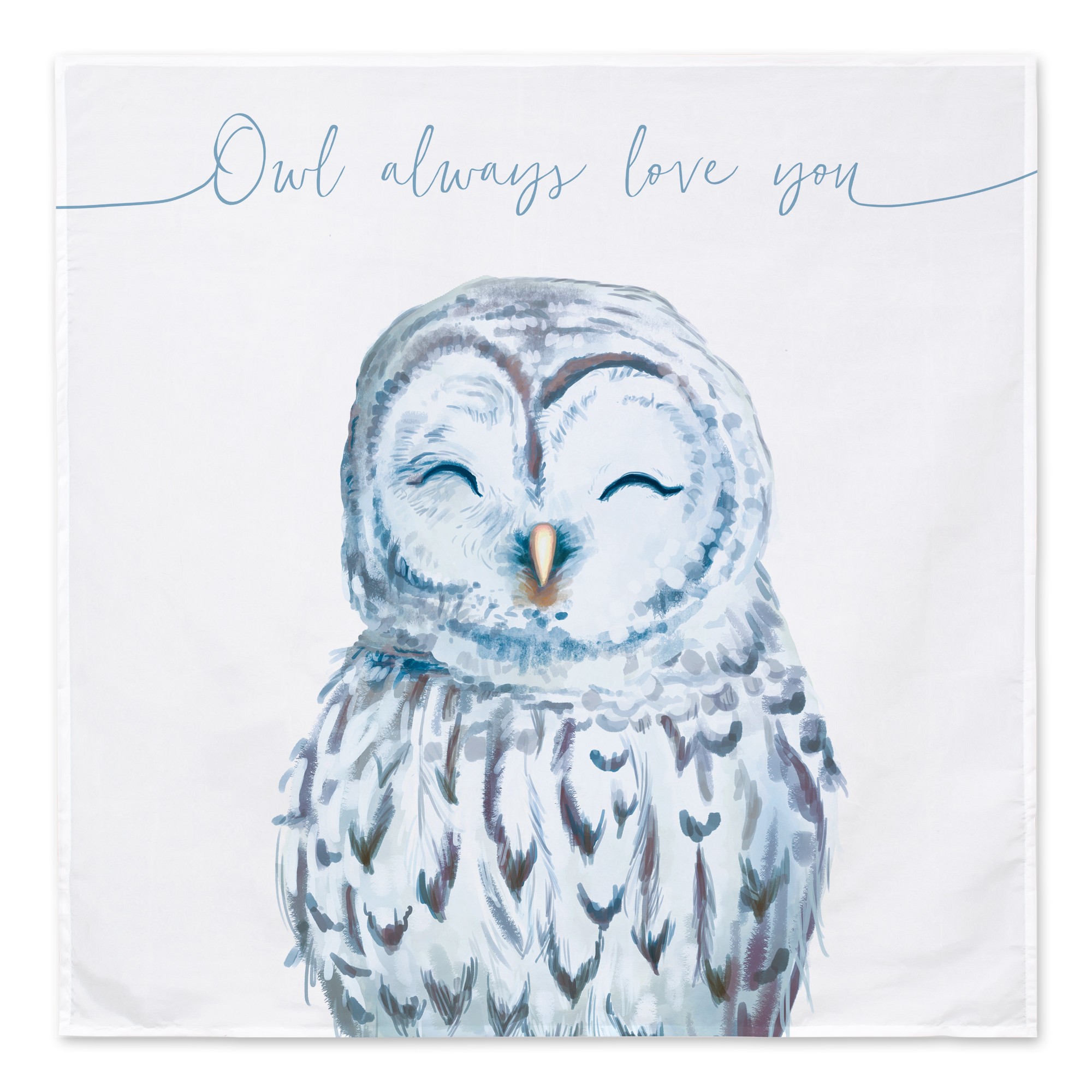 Owl Love Blue 57x57 Tapestry