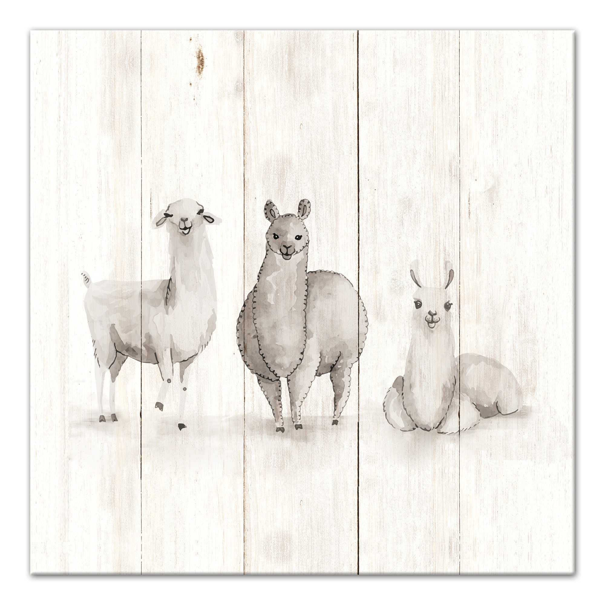  All The Llamas Wall Art