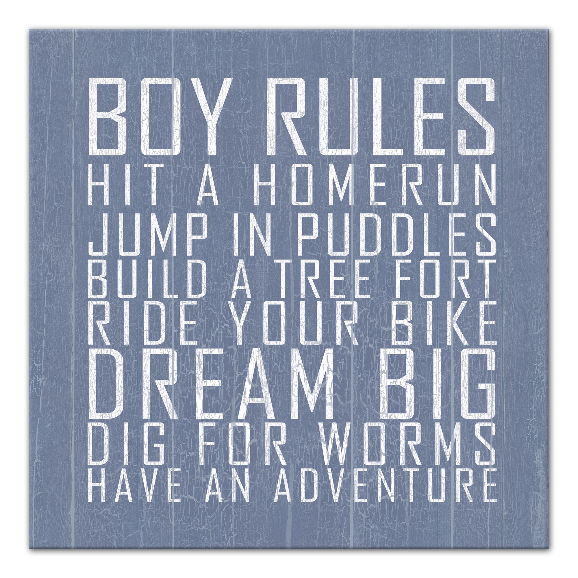 Boy Rules Wall Art