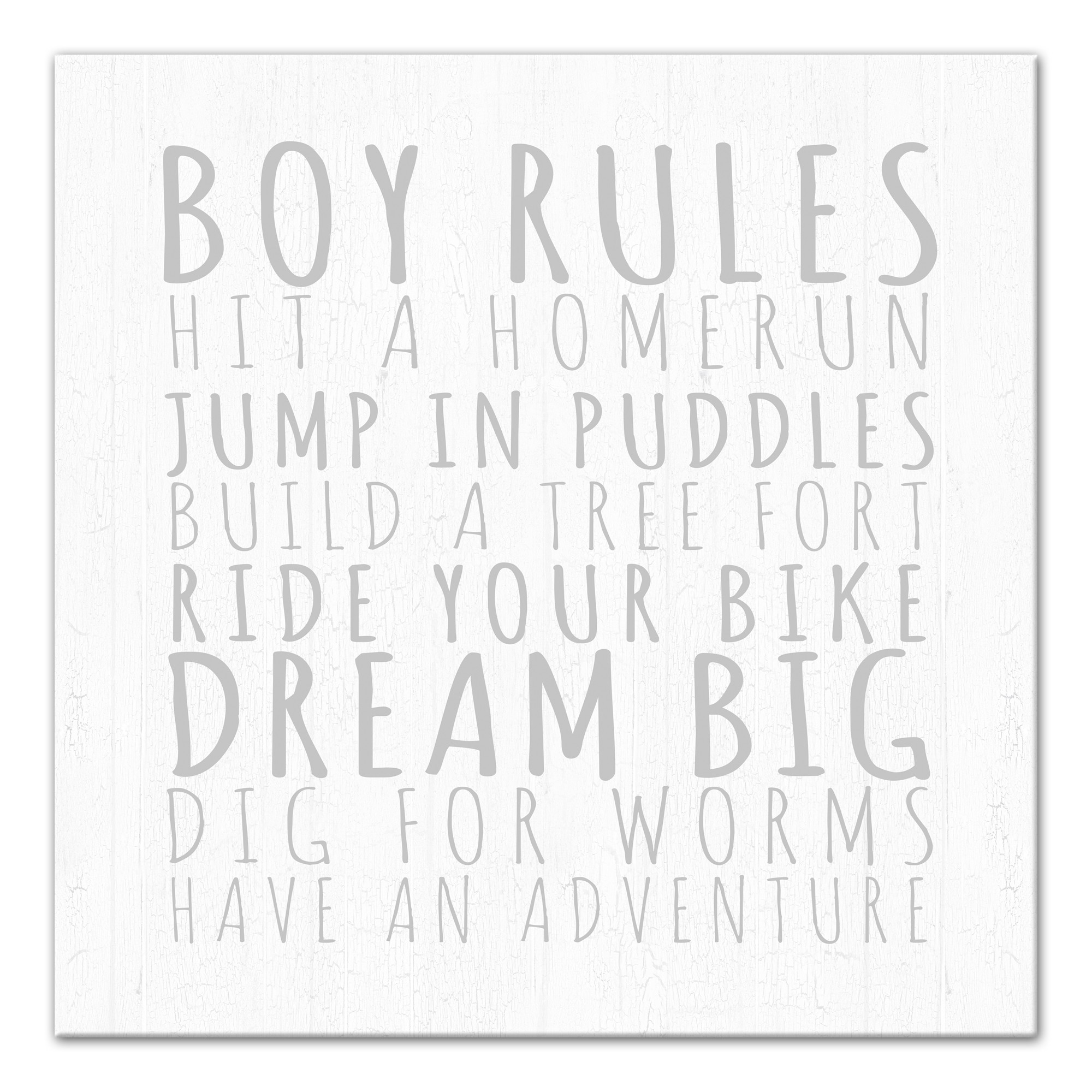 Boy Rules Gray  Wall Art