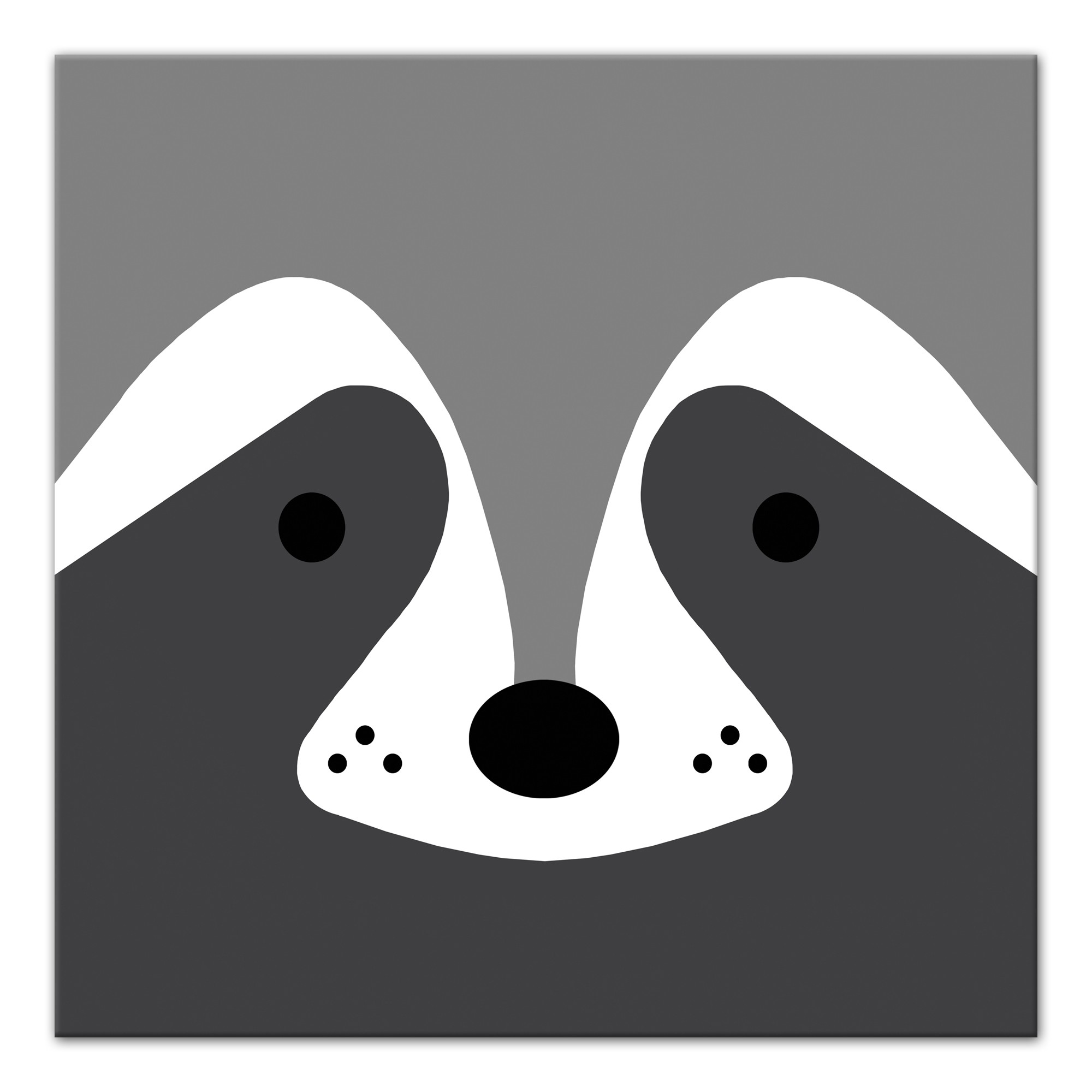 Raccoon Face Wall Art