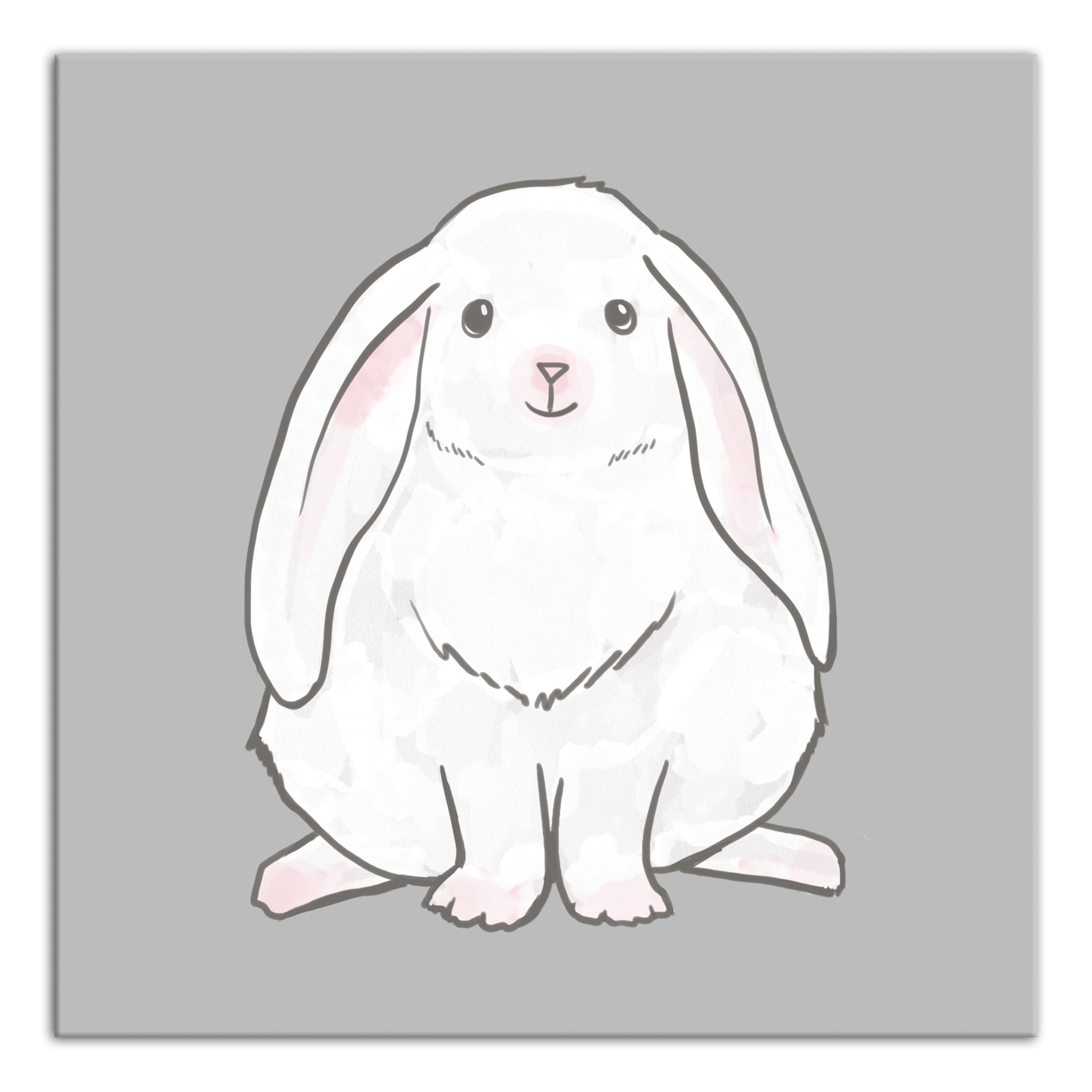 Fluffy Bunny Wall Art
