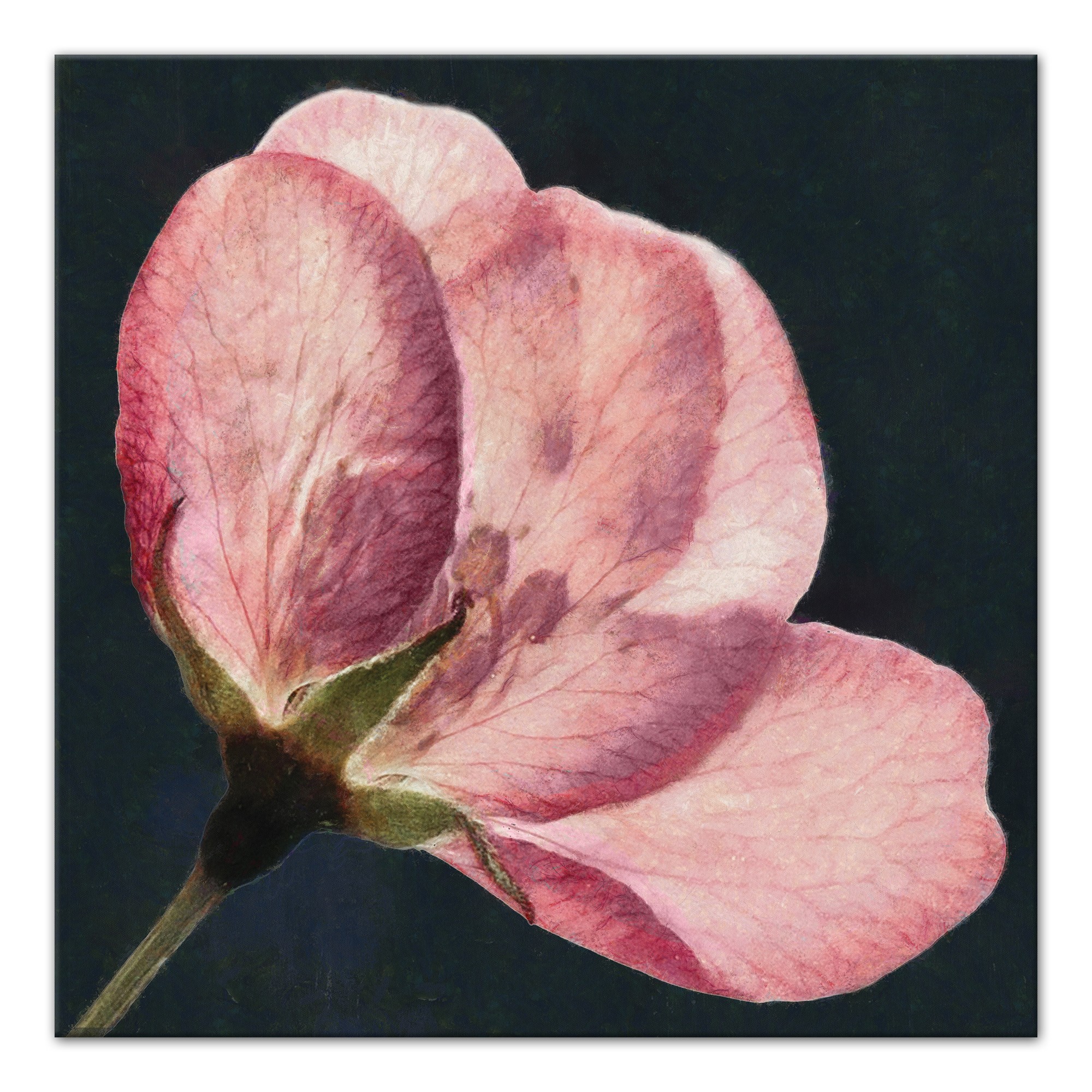 Big Flower Print 30x30 Canvas Wall Art