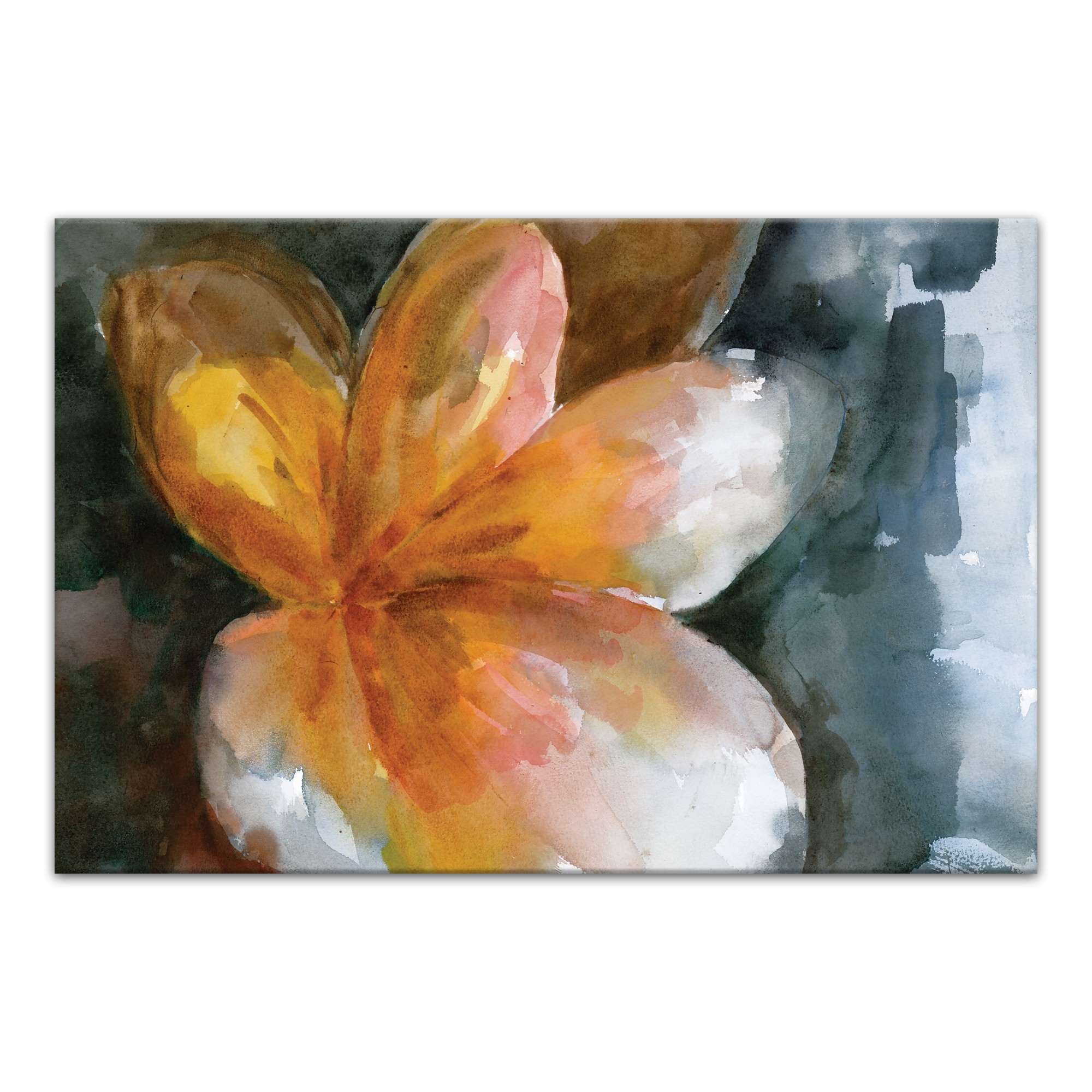 Orange Watercolor Flower 24x16 Canvas Wall Art