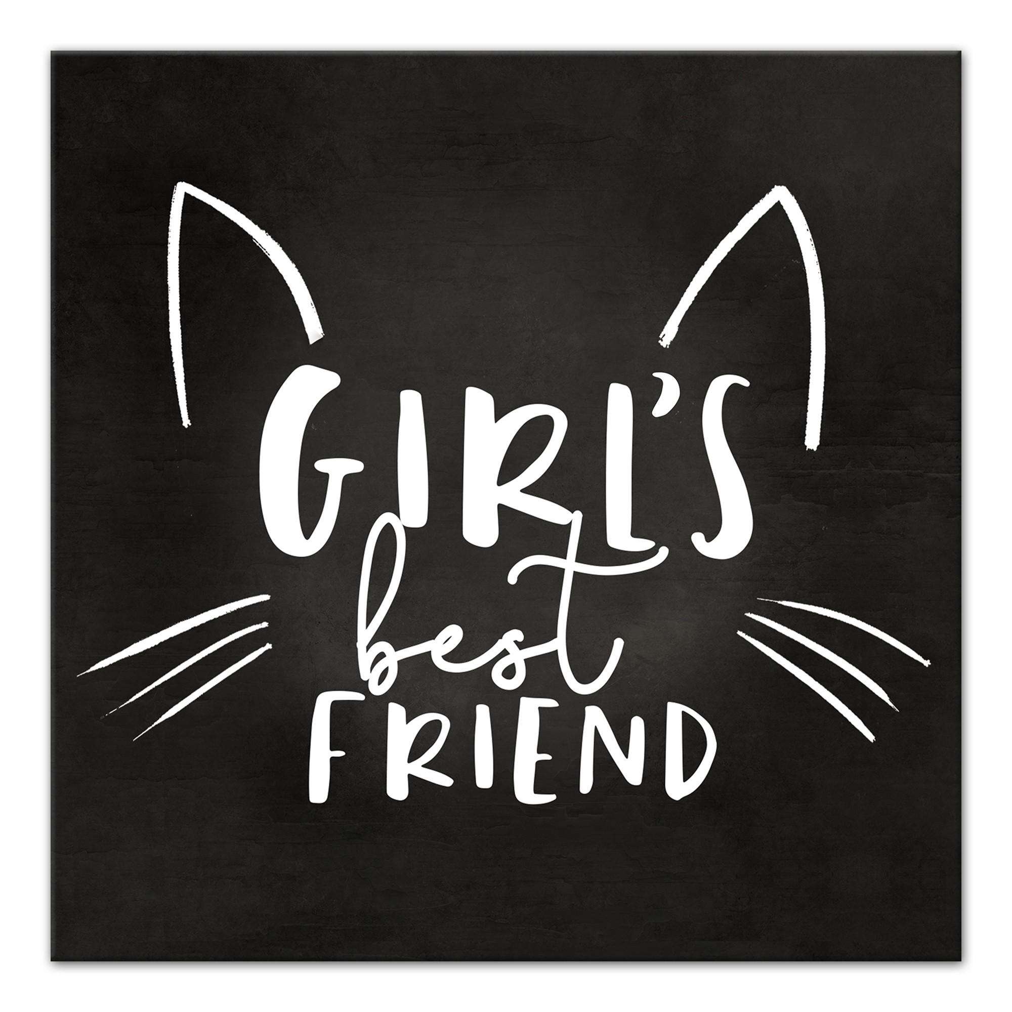 Girls Best Friend Cat 12x12 Canvas Wall Art