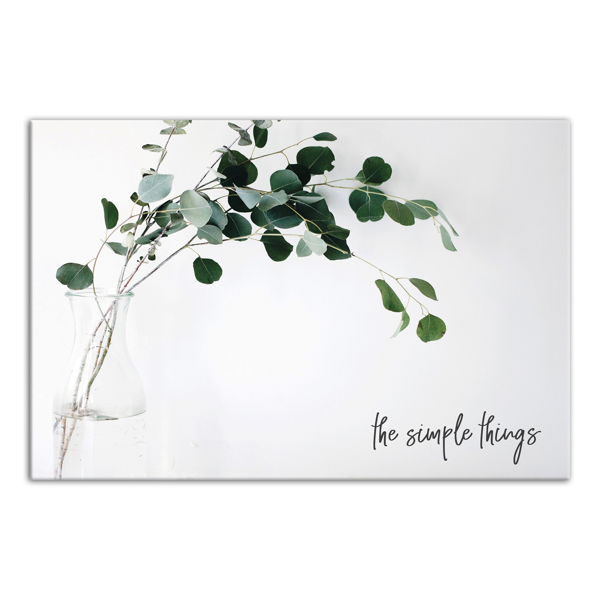 Eucalyptus Leaves The Simple Things 18x12 Canvas Wall Art