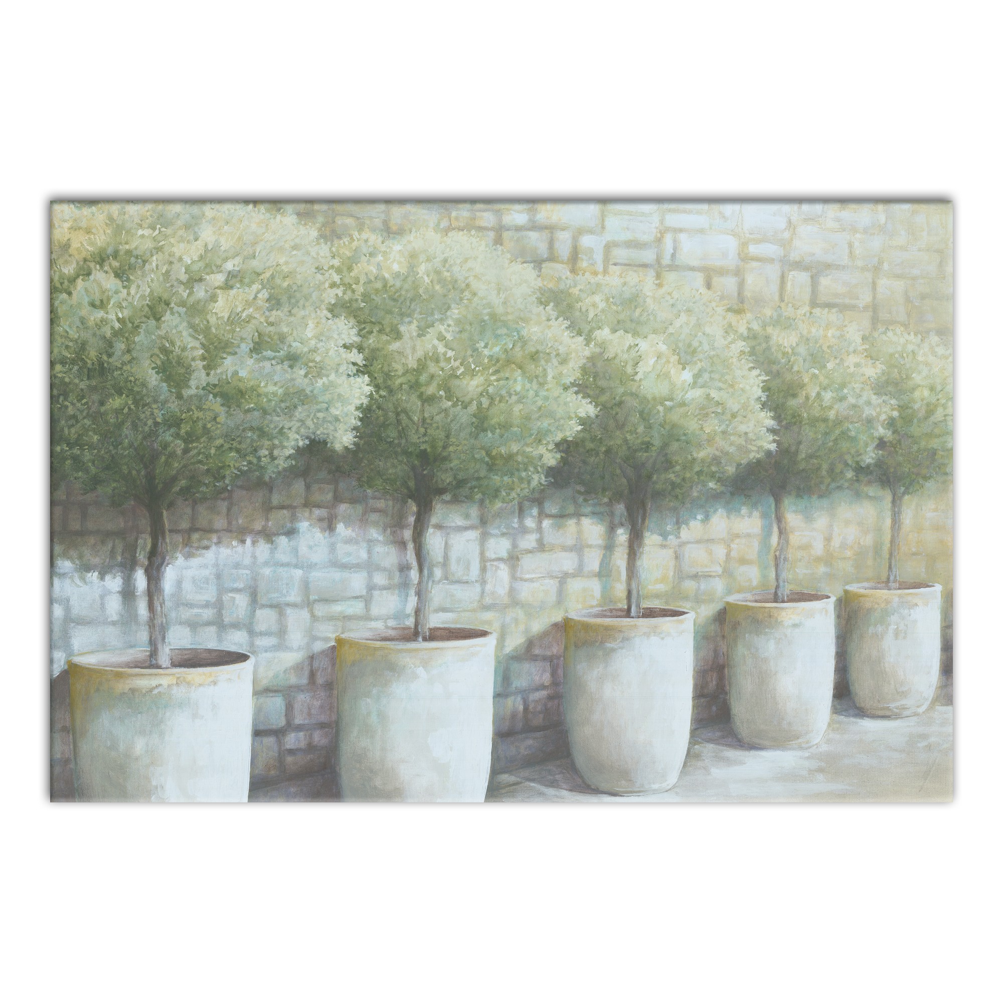 Potted Trees Stone Wall 30x20 Canvas Wall Art