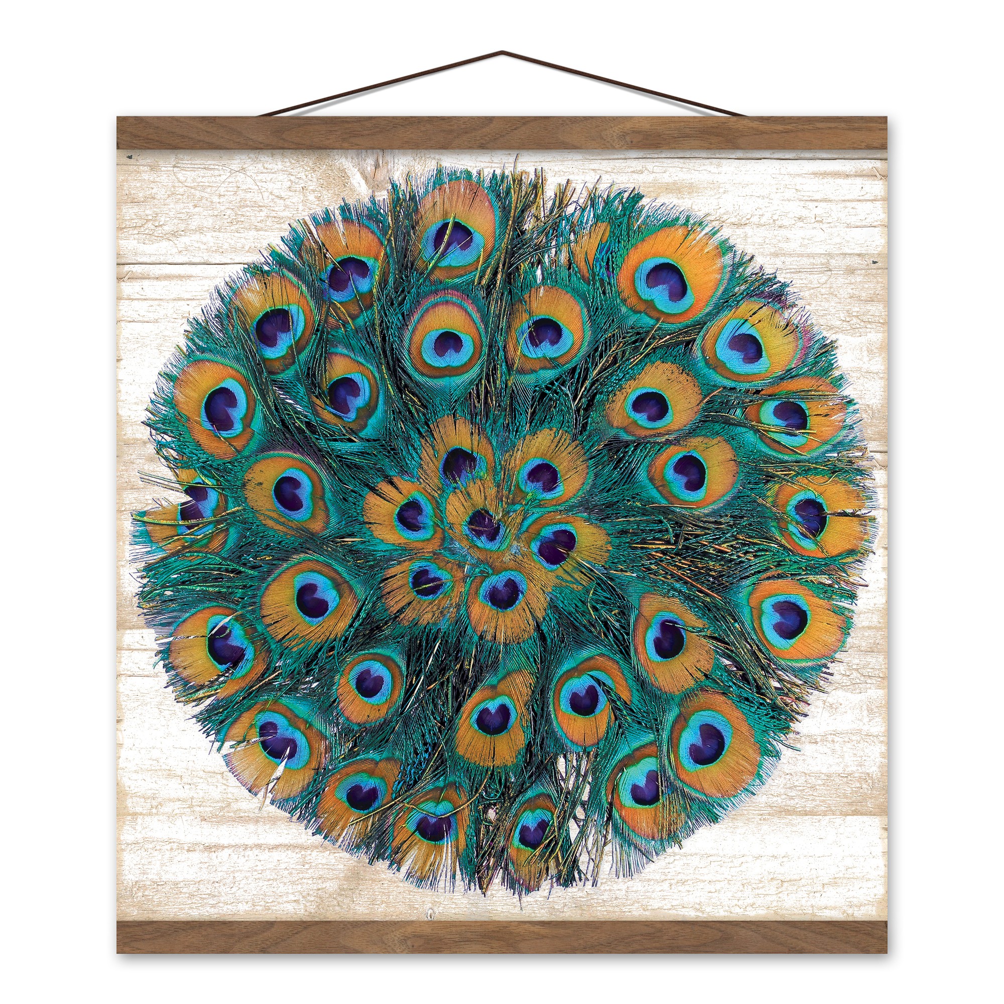 Peacock Circle 16x16 Teak Hanging Canvas