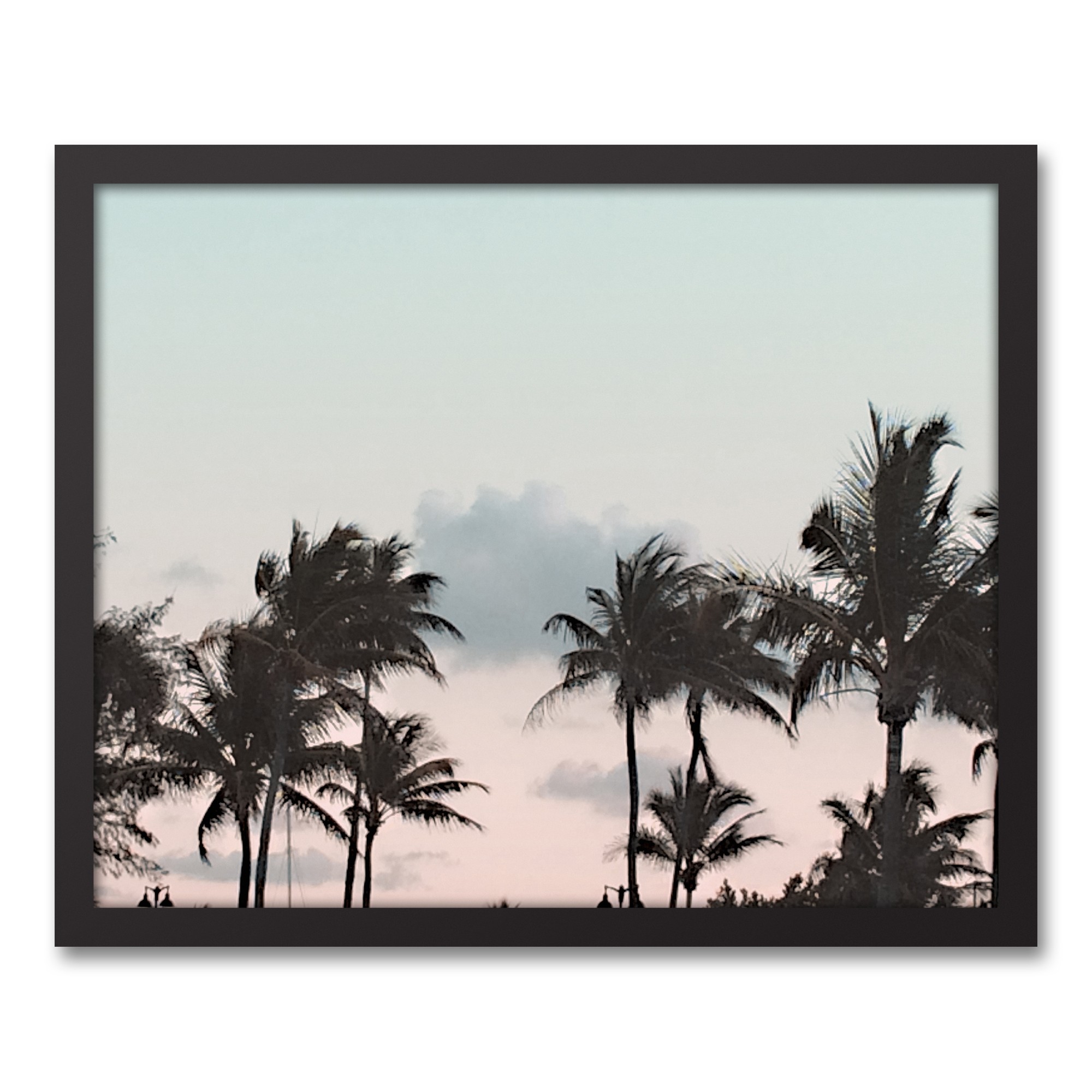 Palm Sunset 20x16 Black Framed Canvas