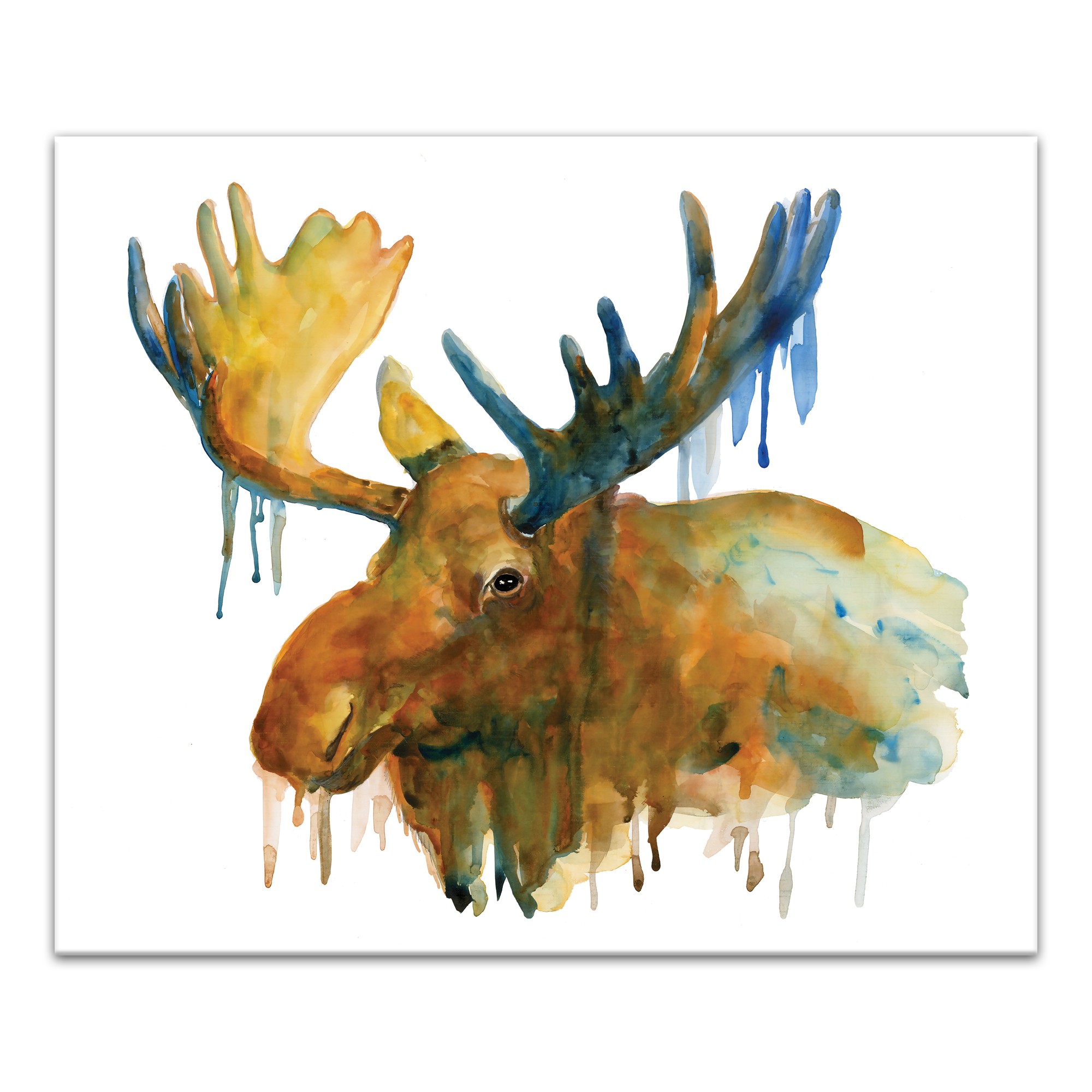 Drippy Watercolor Moose 24x20 Canvas Wall Art