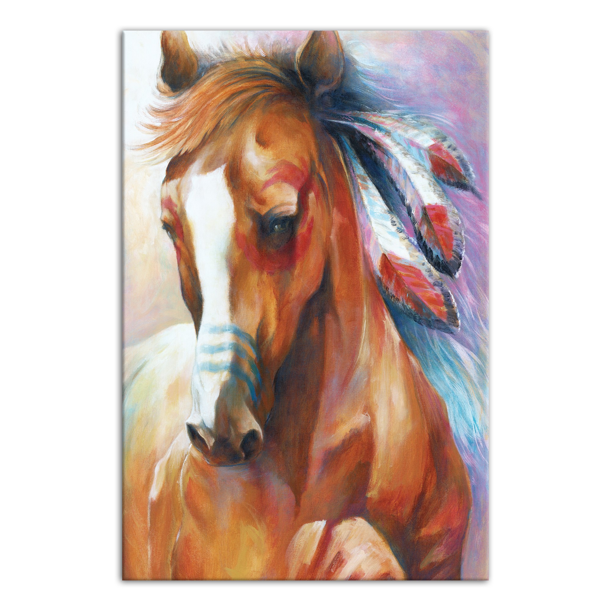 Native American Horse 20x30 Canvas Wall Art