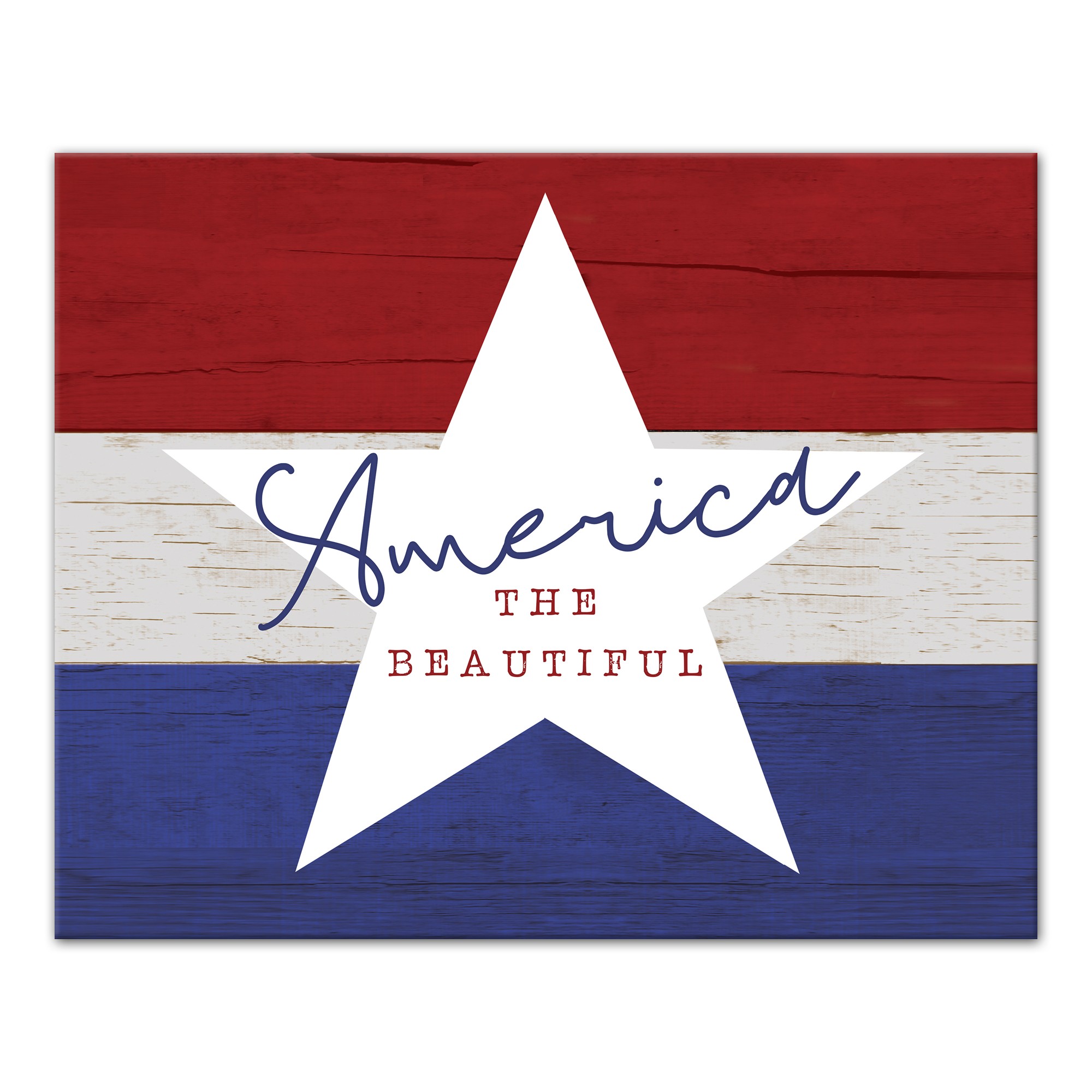 America The Beautiful 20x16 Canvas Wall Art