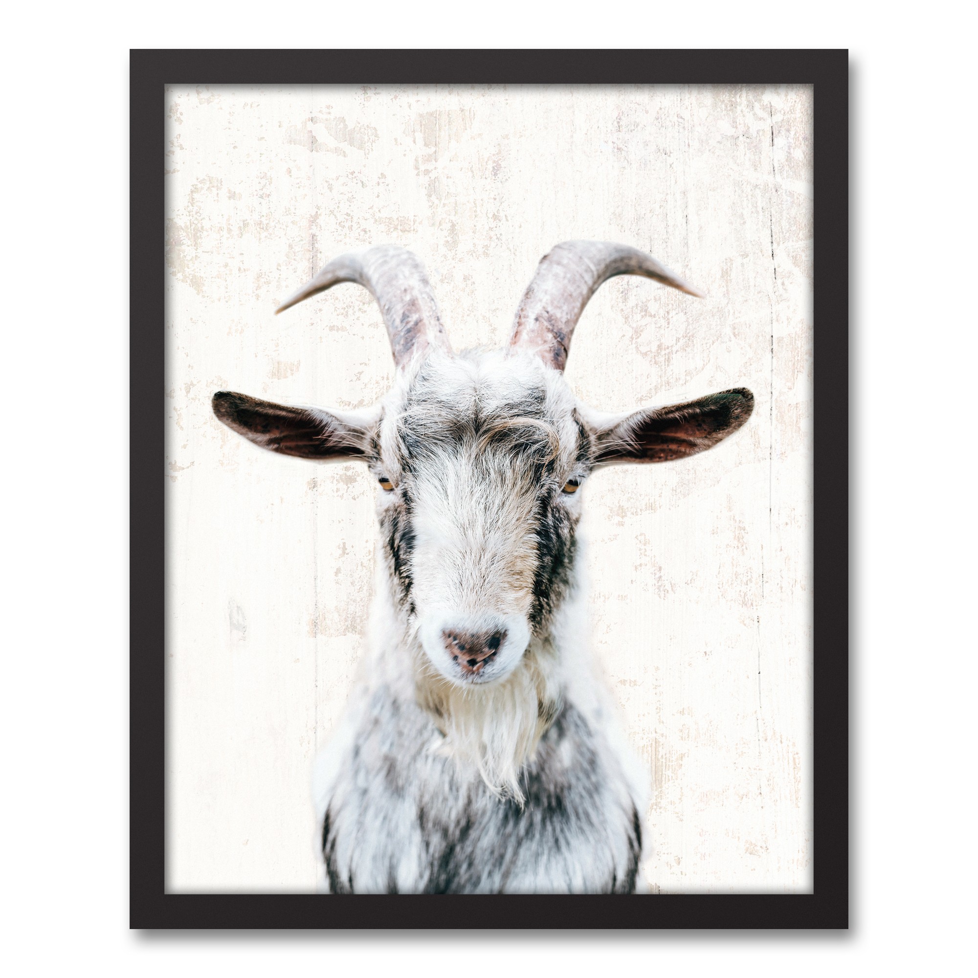 Farmhouse Goat 16x20 Black Framed Canvas