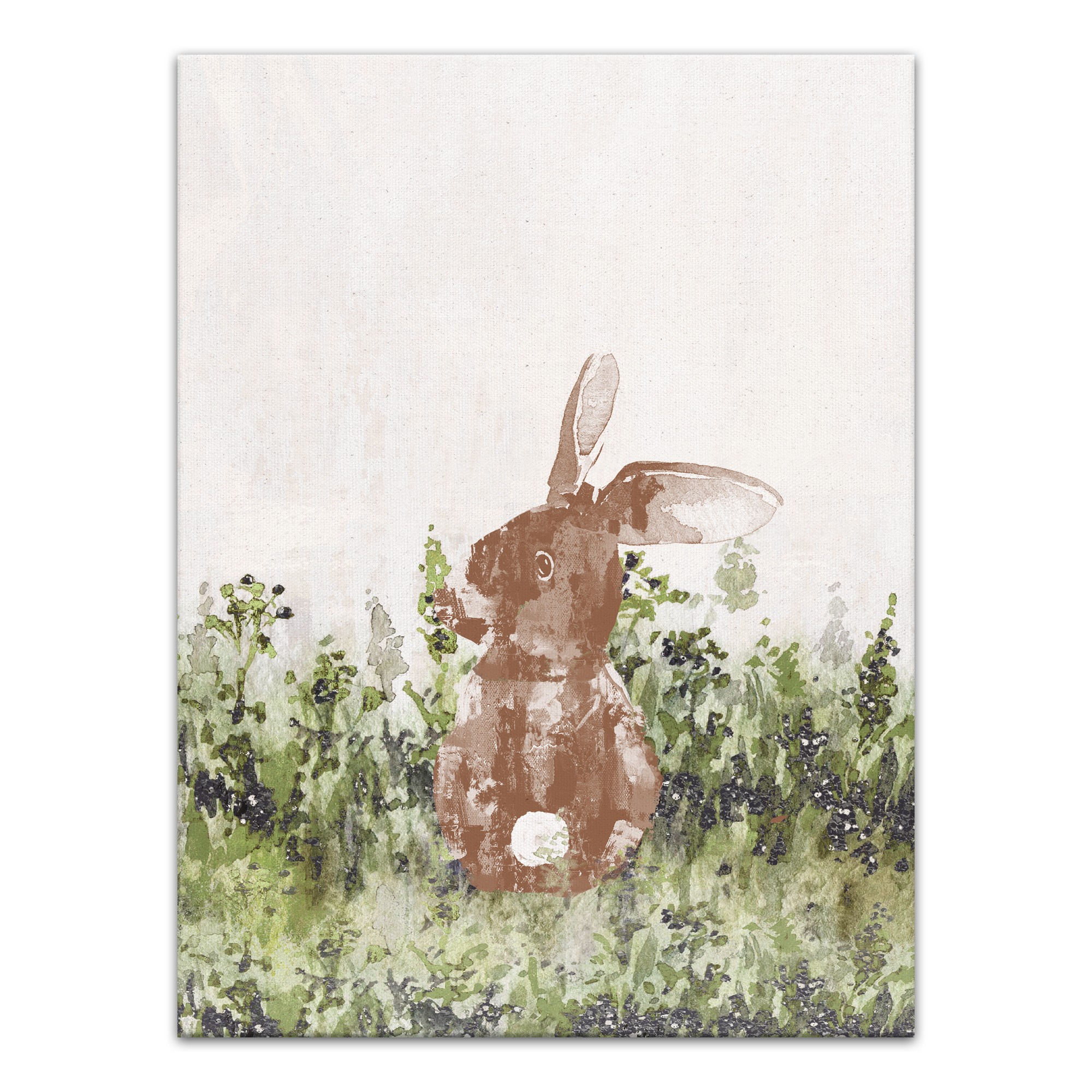 Bunny in Field  16x20 Canvas Wall Art
