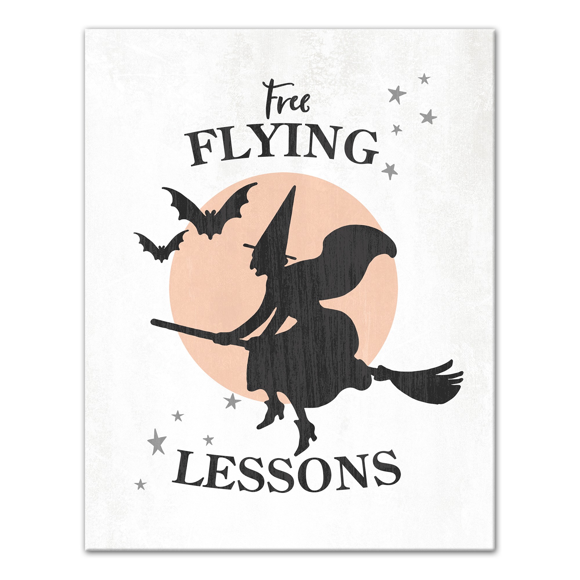 Free Flying Lessons Light 11x14 Canvas Wall Art