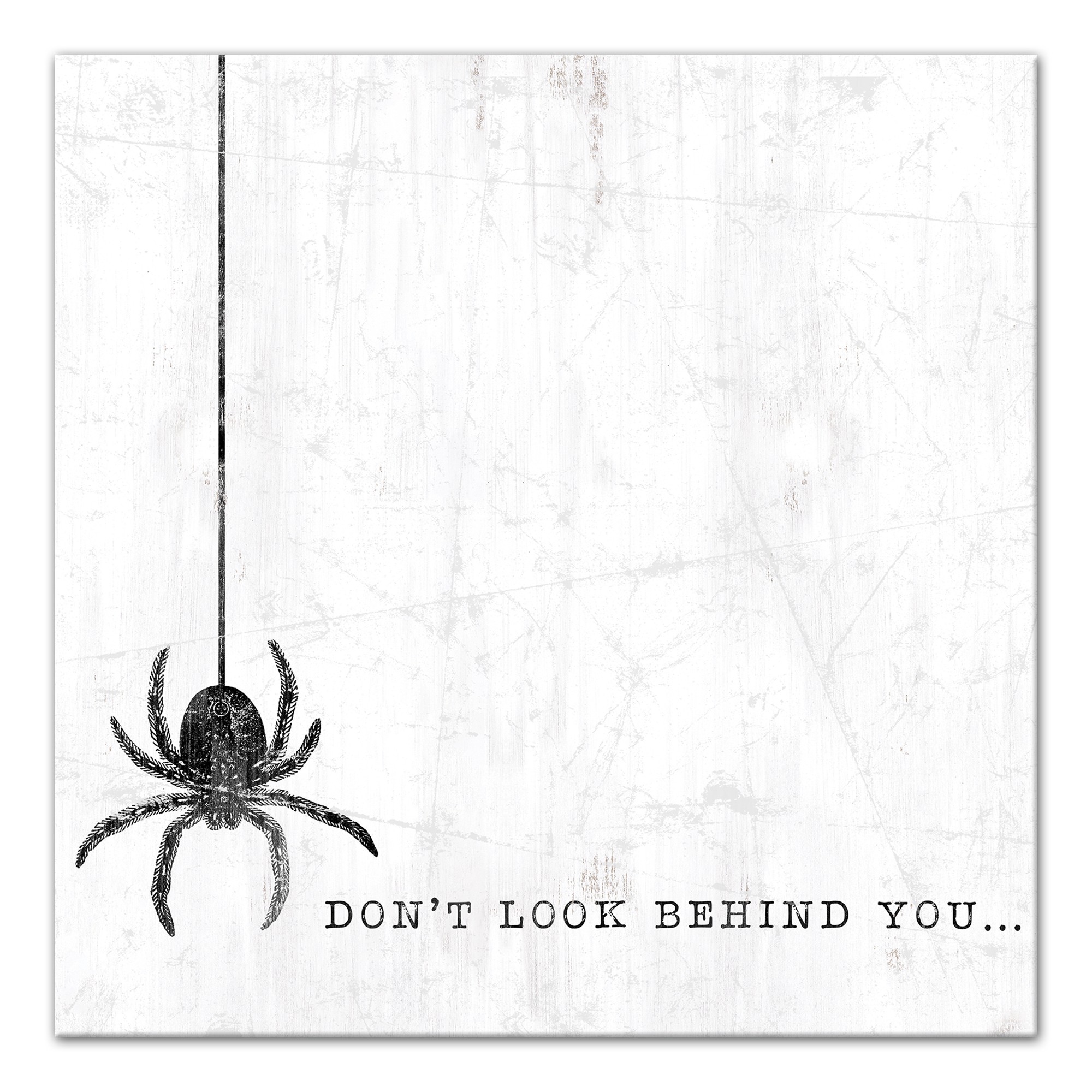 Look Behind You Spider 12x12 Canvas Wall Art