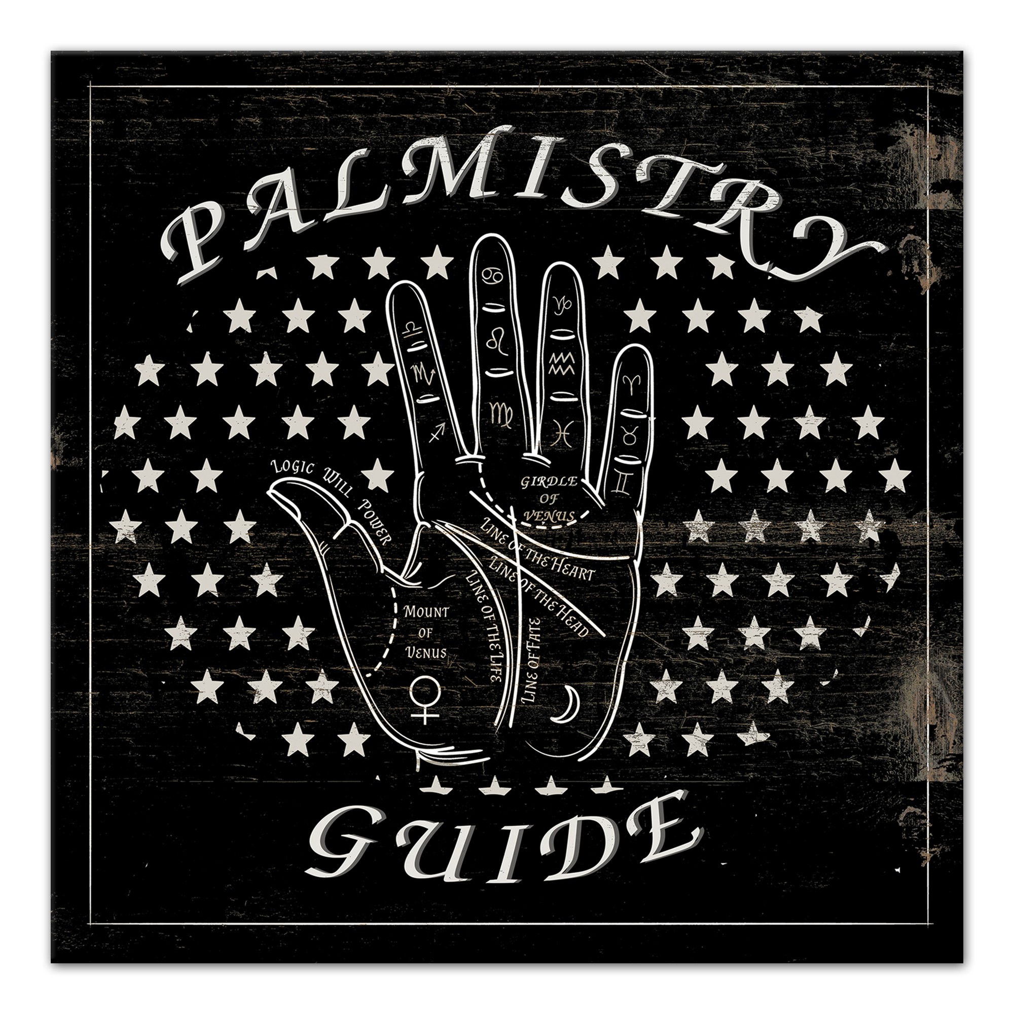 Palmistry Guide 12x12 Canvas Wall Art