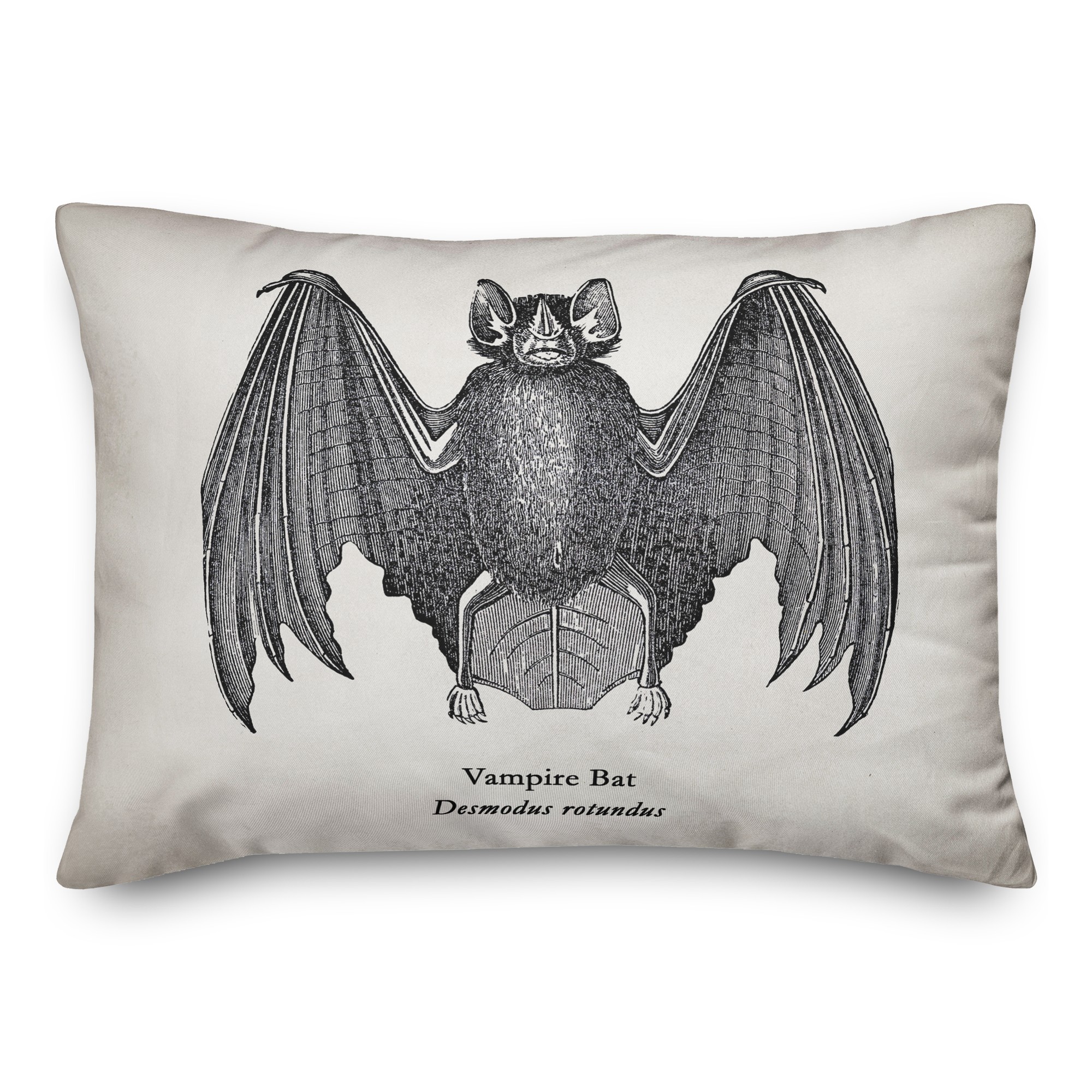 Scientific Vamp 14x20 Spun Poly Pillow