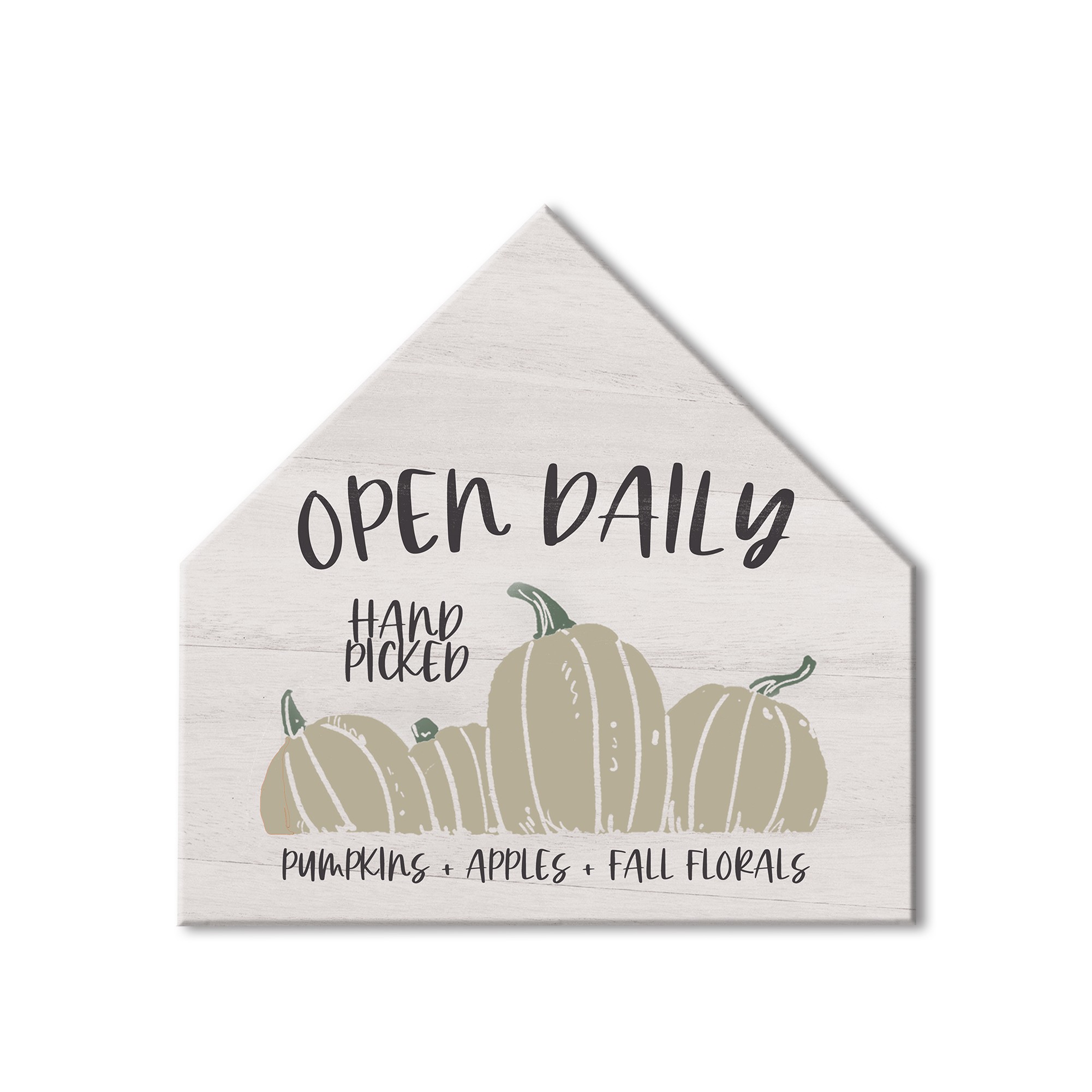 Open Daily  12x12 House Shaped Canvas