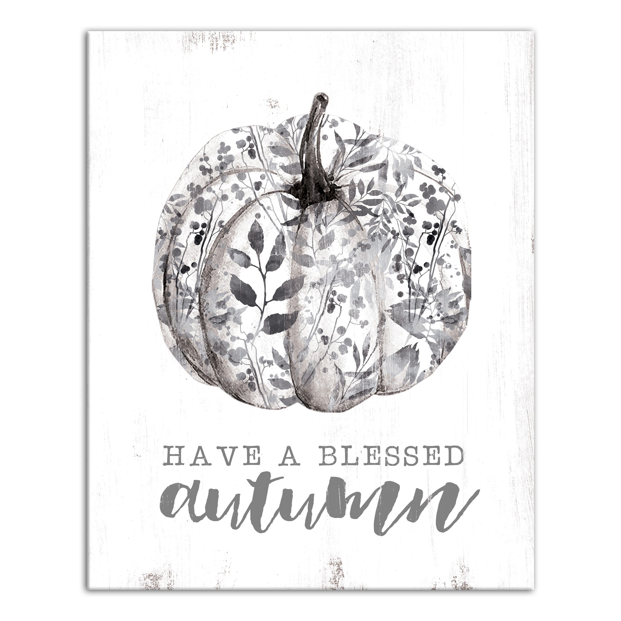Botanical Pumpkin 16x20 Canvas Wall Art